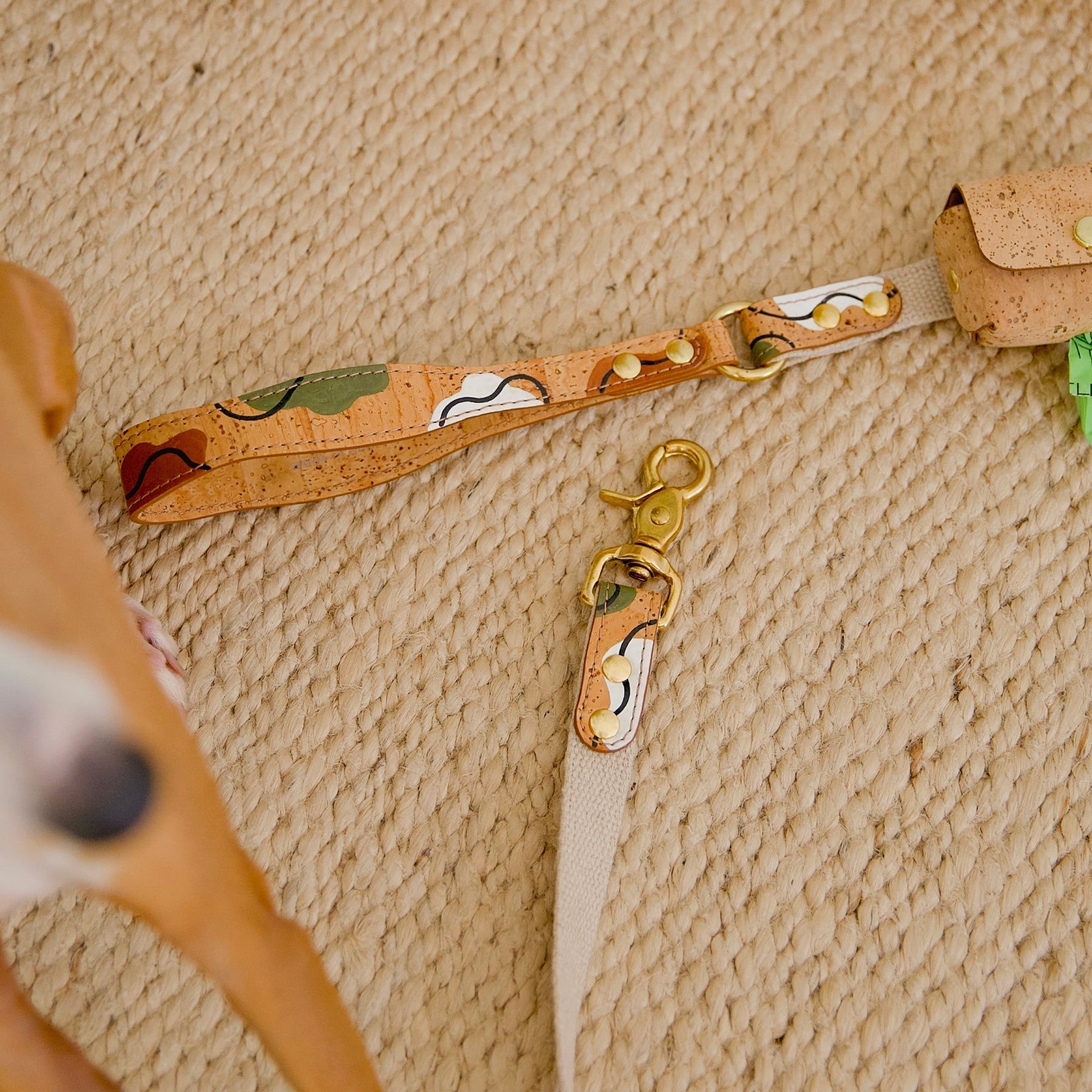 Dog sitting next to a brown cork leather leash with brass hardware