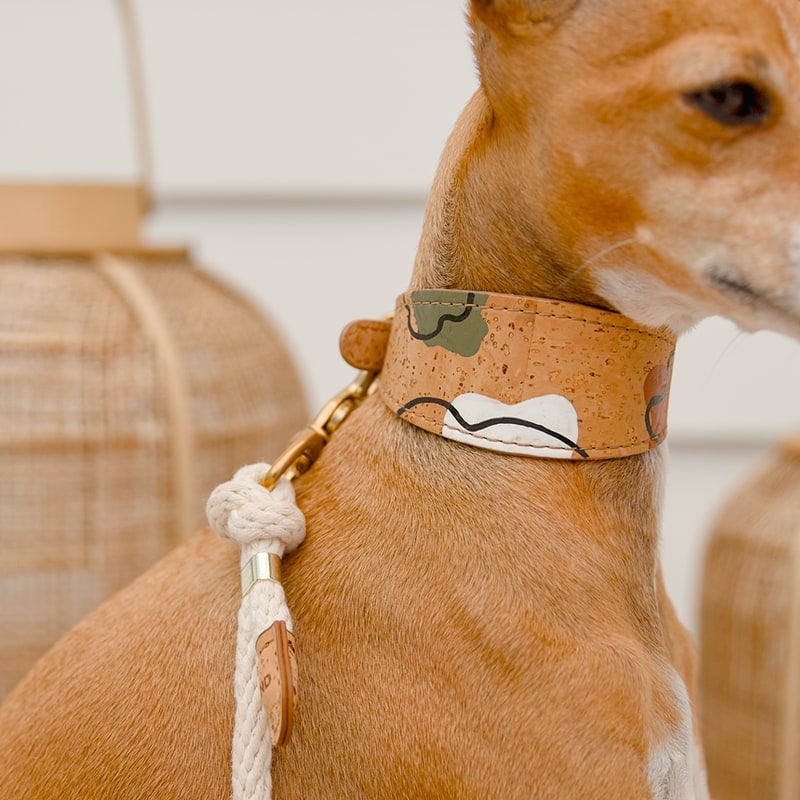 Dog wearing handmade brown cork leather dog collar with cotton rope leash
