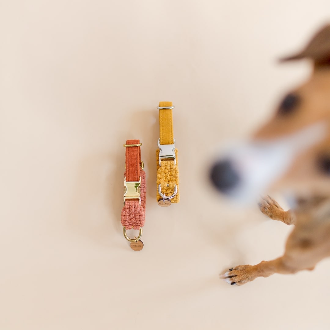 macrame dog collars in terracotta and yellow mustard handmade in australia