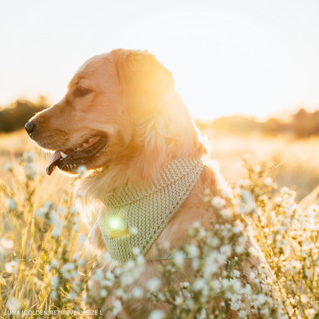 Organic Merino Wool Bandana - Pistage