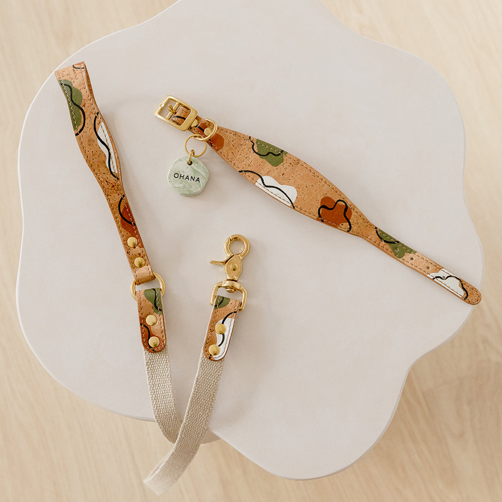 designer dog collar and leash set in soft brown hue and playful print, crafted from cork plant leather
