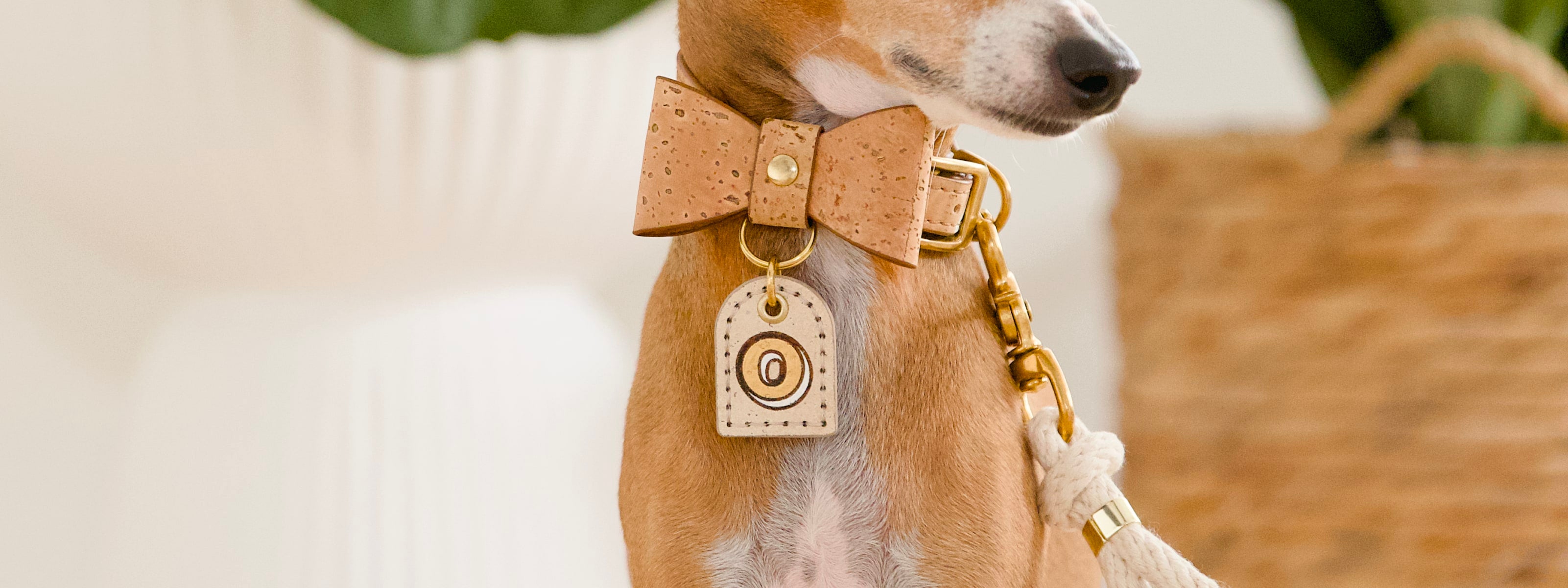 Dog wearing a brown cork leather bow tie with a personalised name tag in gold