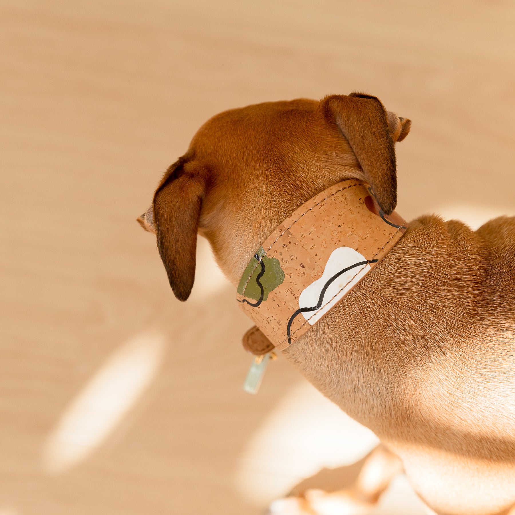 dog wearing a wide brown cork leather collar featuring a hand-painted pattern