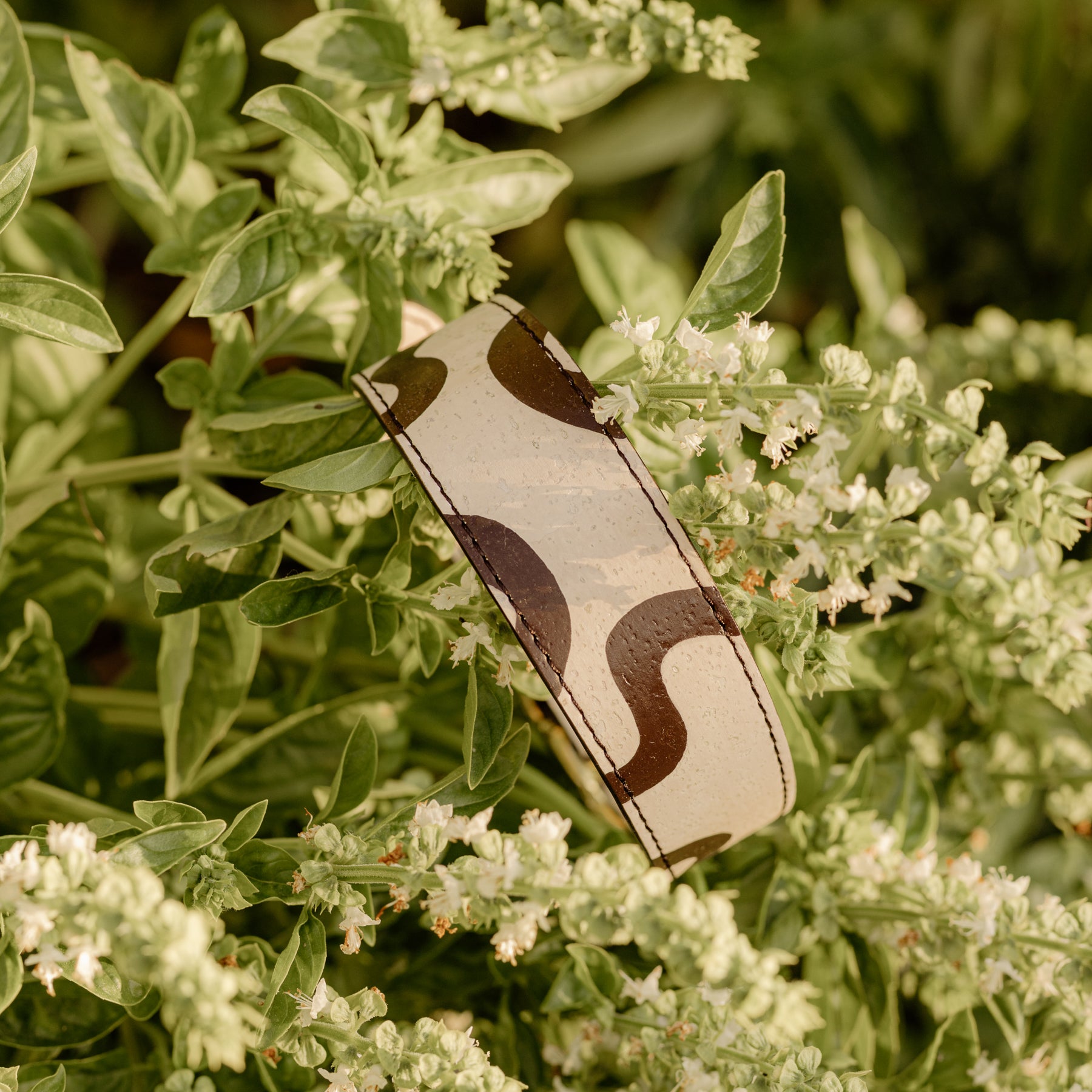 hand-painted vegan cork leather dog collar on green branch with white flowers