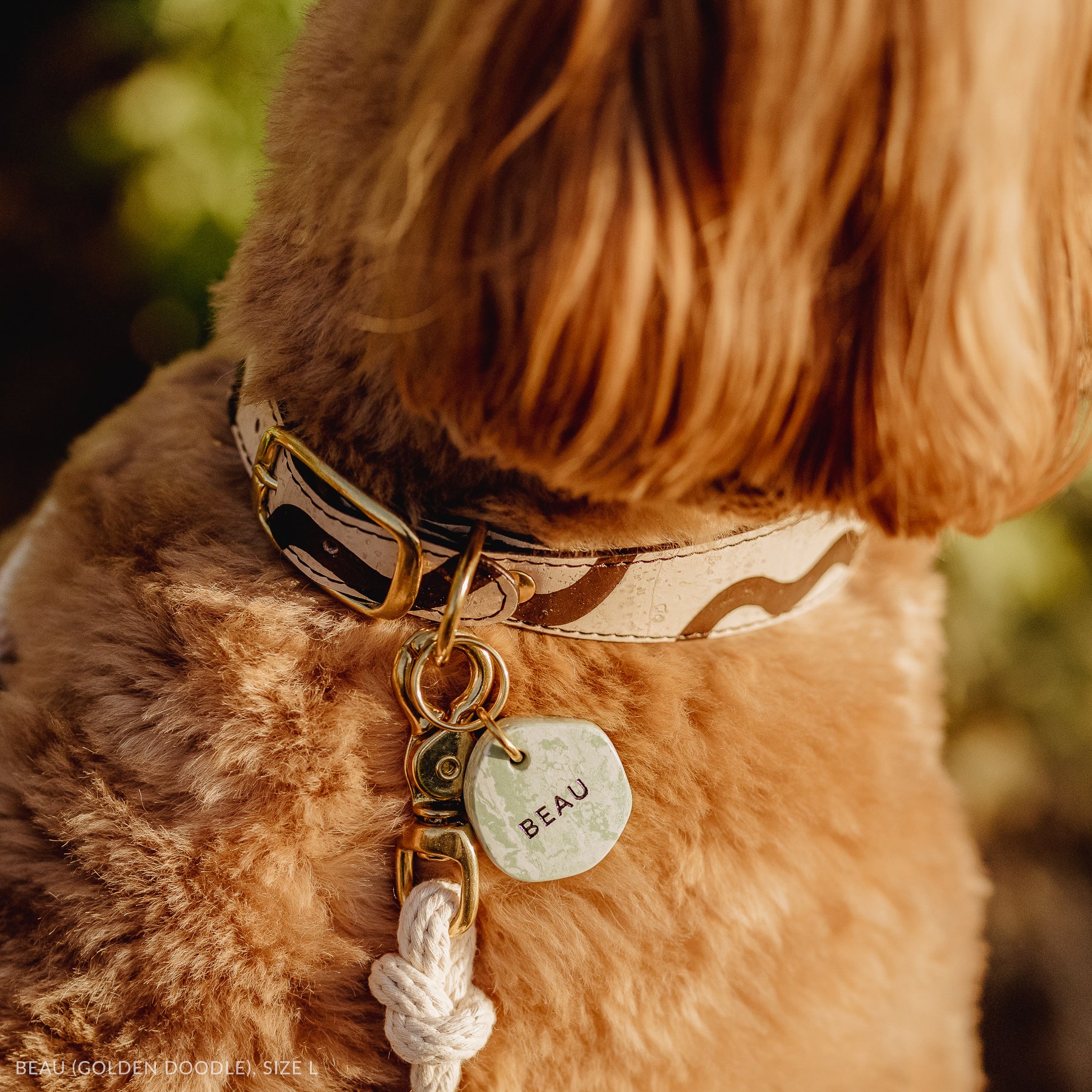 goldendoodle wearing a vegan cork leather dog collar, and green marble look personalised dog ID tag, close-up