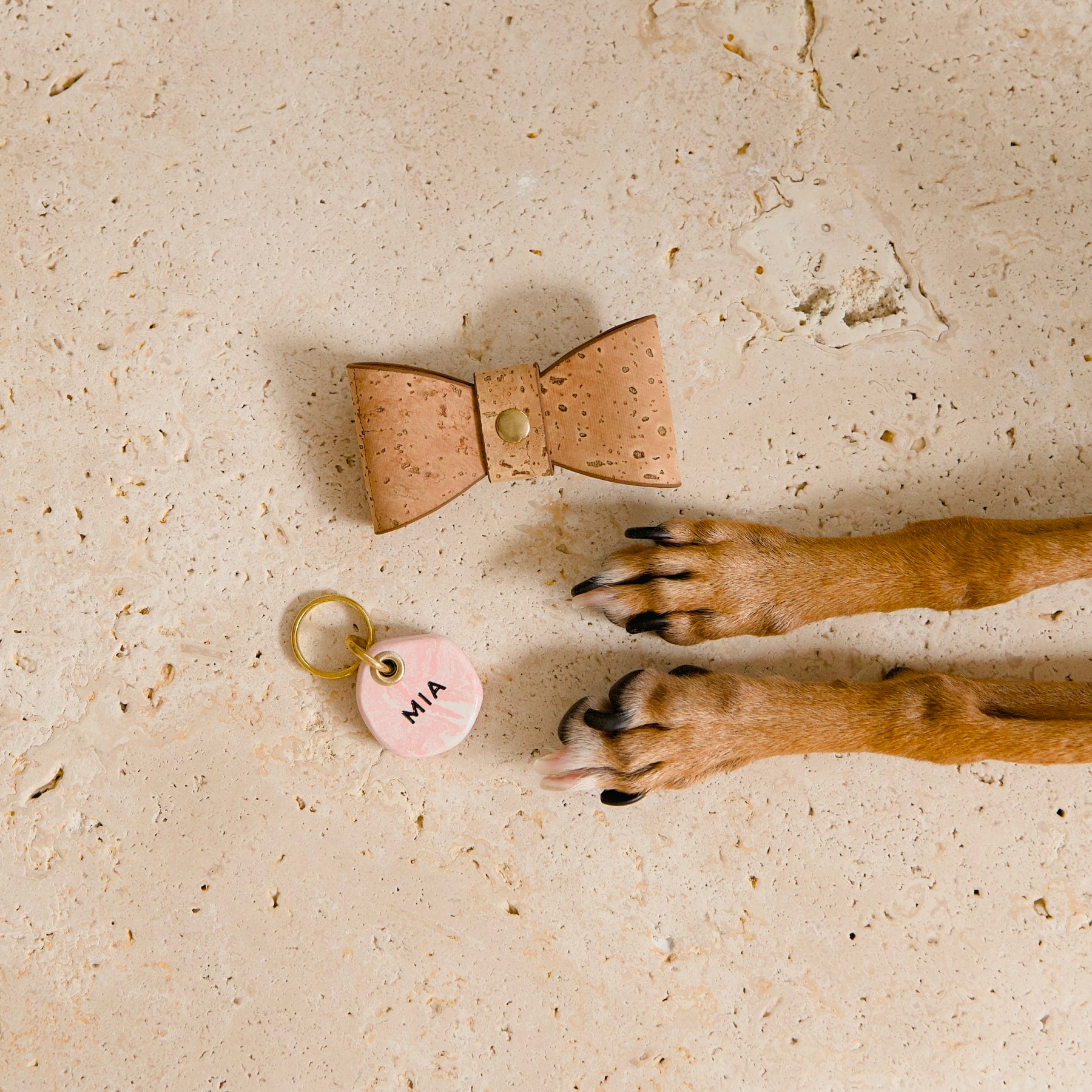Clay Dog ID Tag - Rose Quartz