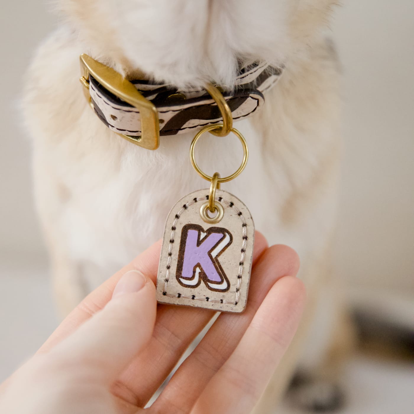 Close-up of dog wearing cork ID tag with custom purple monogram, hand holding the tag