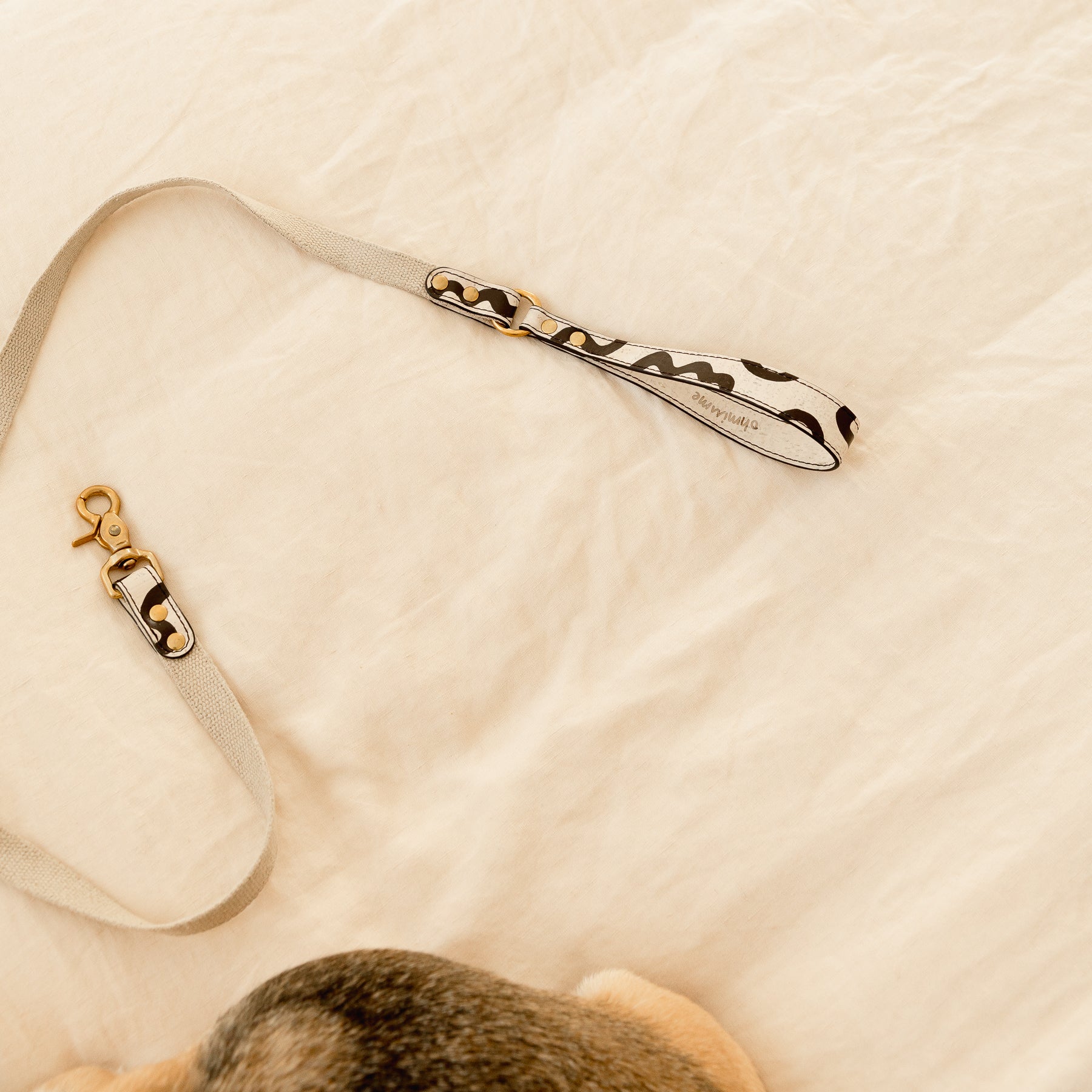 Cream beige cork leather dog leash with dark brown hand-painted details and brass hardware, beside a small dog on beige linen
