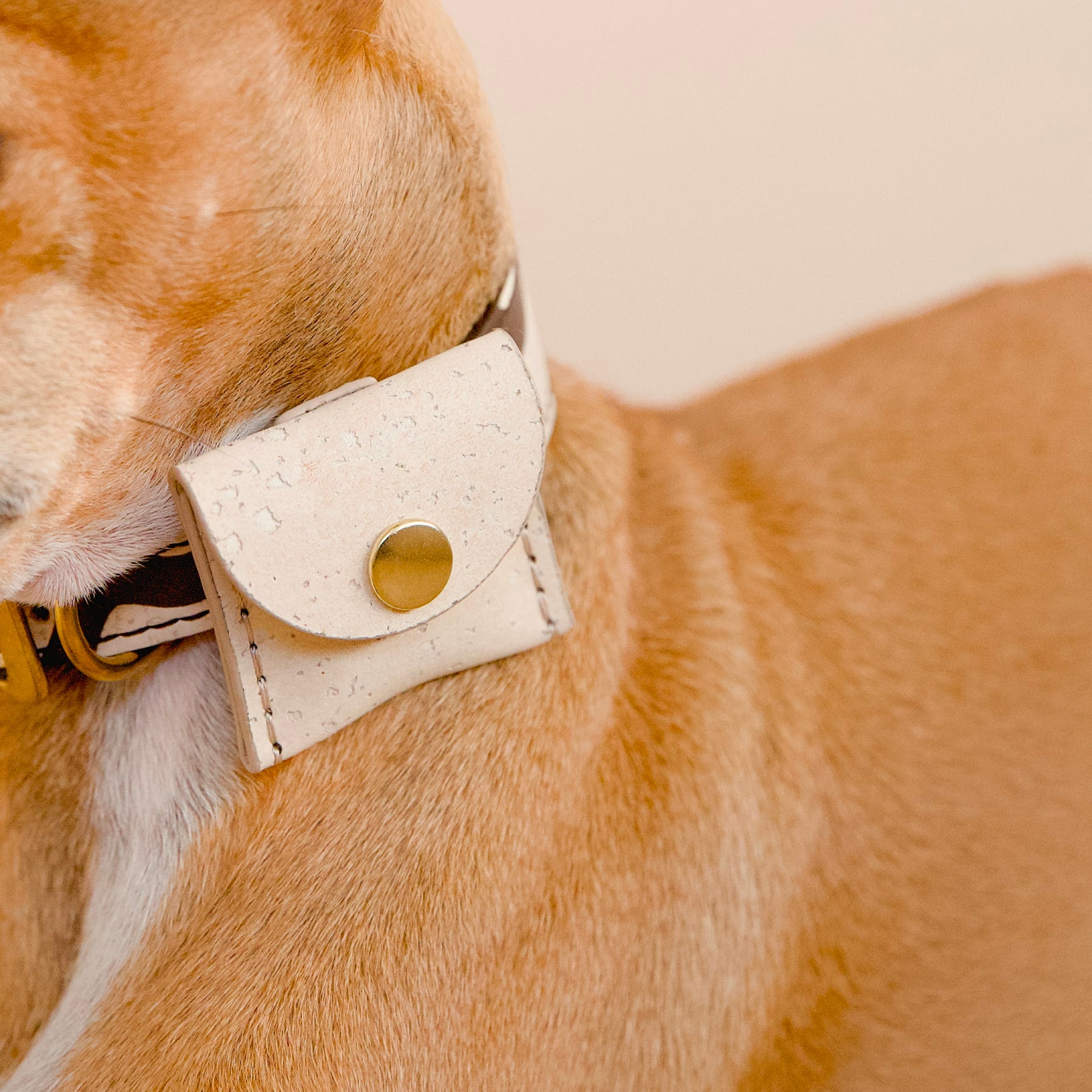 Dog wearing a cream beige cork dog airtag holder with brass button, close-up
