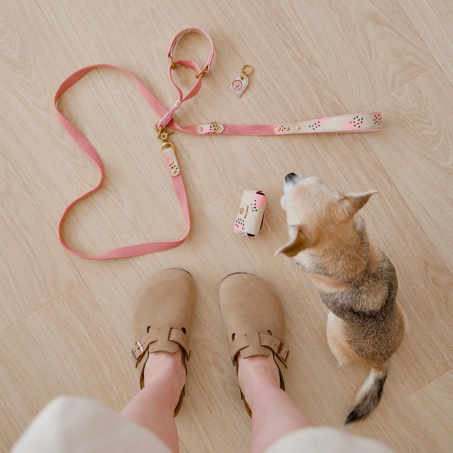 pink dog slip collar in cork leather and long leash in hemp, matching poop bag holder and name tag, featuring hand-painted Wild Rose artwork