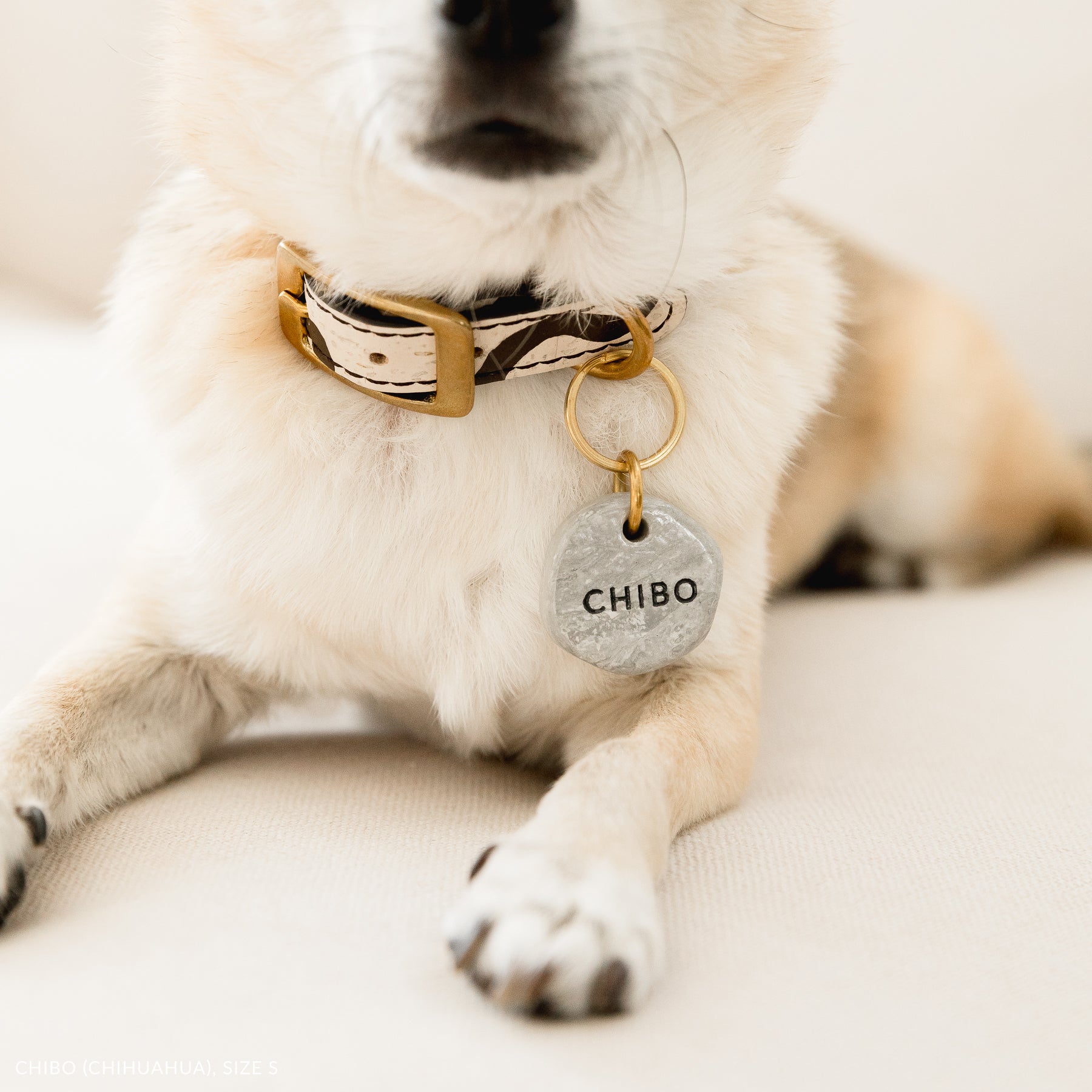 small dog wearing vegan cork leather collar with marble-look ID tag (size small), close-up detail