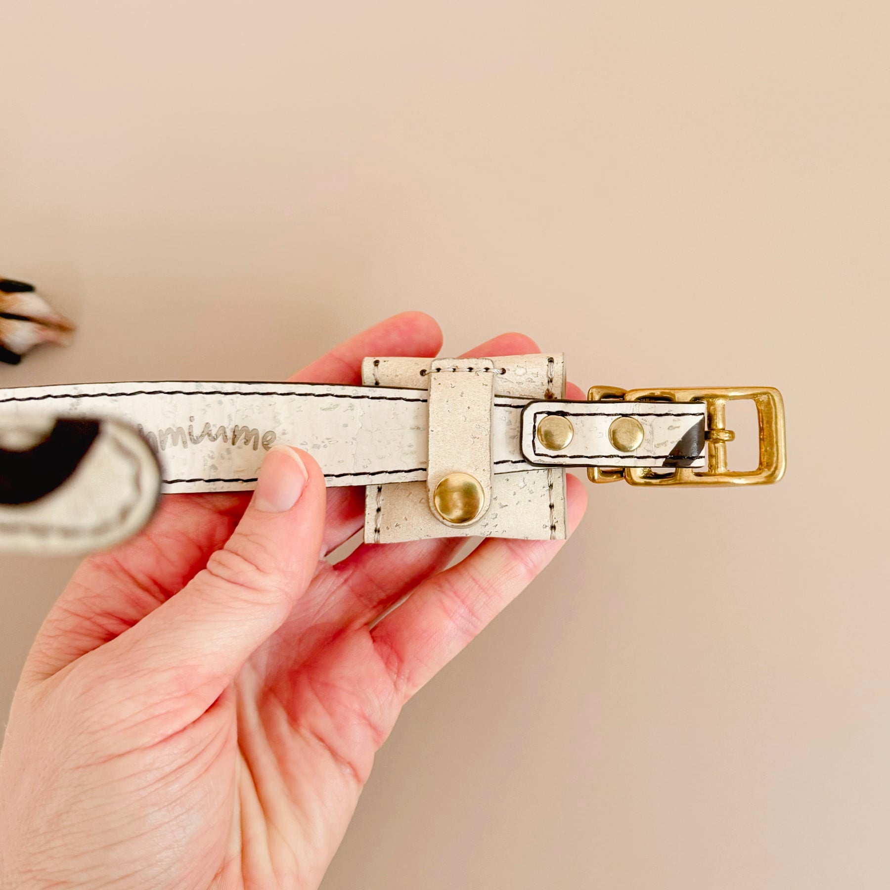 hand holding a dog collar with attached cork dog airtag holder in cream beige cork leather with brass details
