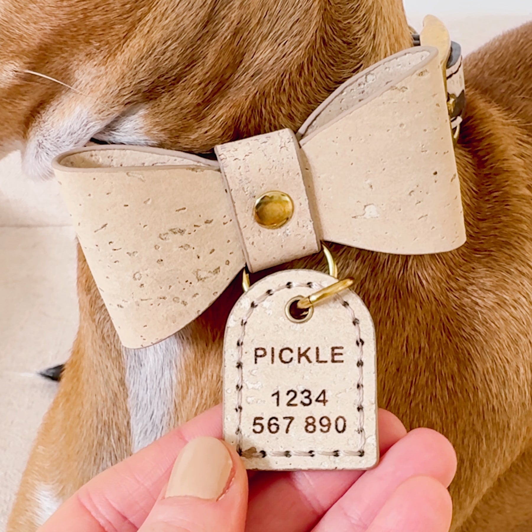 Monogram dog ID tag in cork leather with bold font, personalized name 'PICKLE', and decorative bow on a dog's collar.