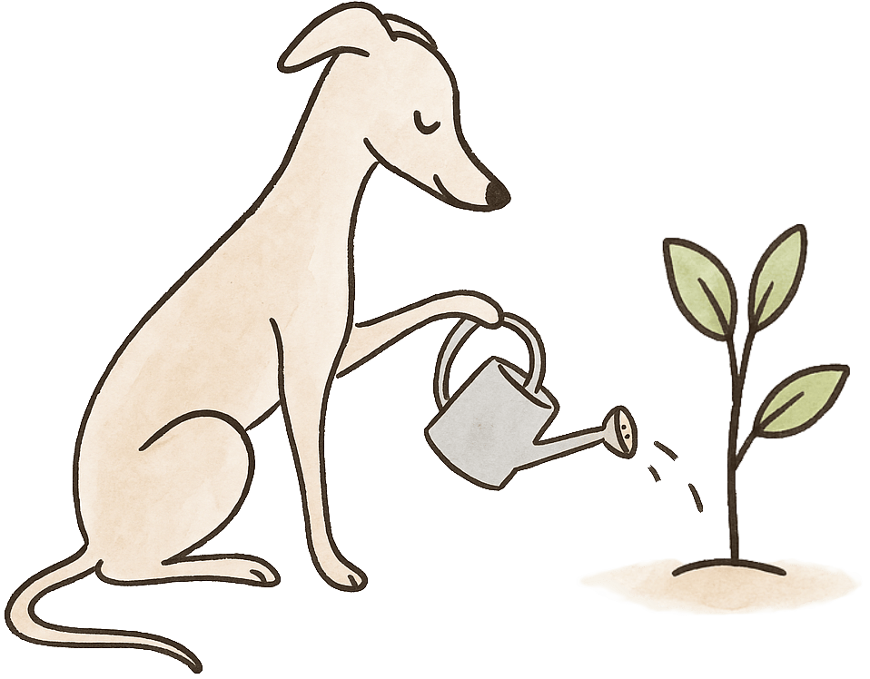 The Ohminme dog watering a tree sapling