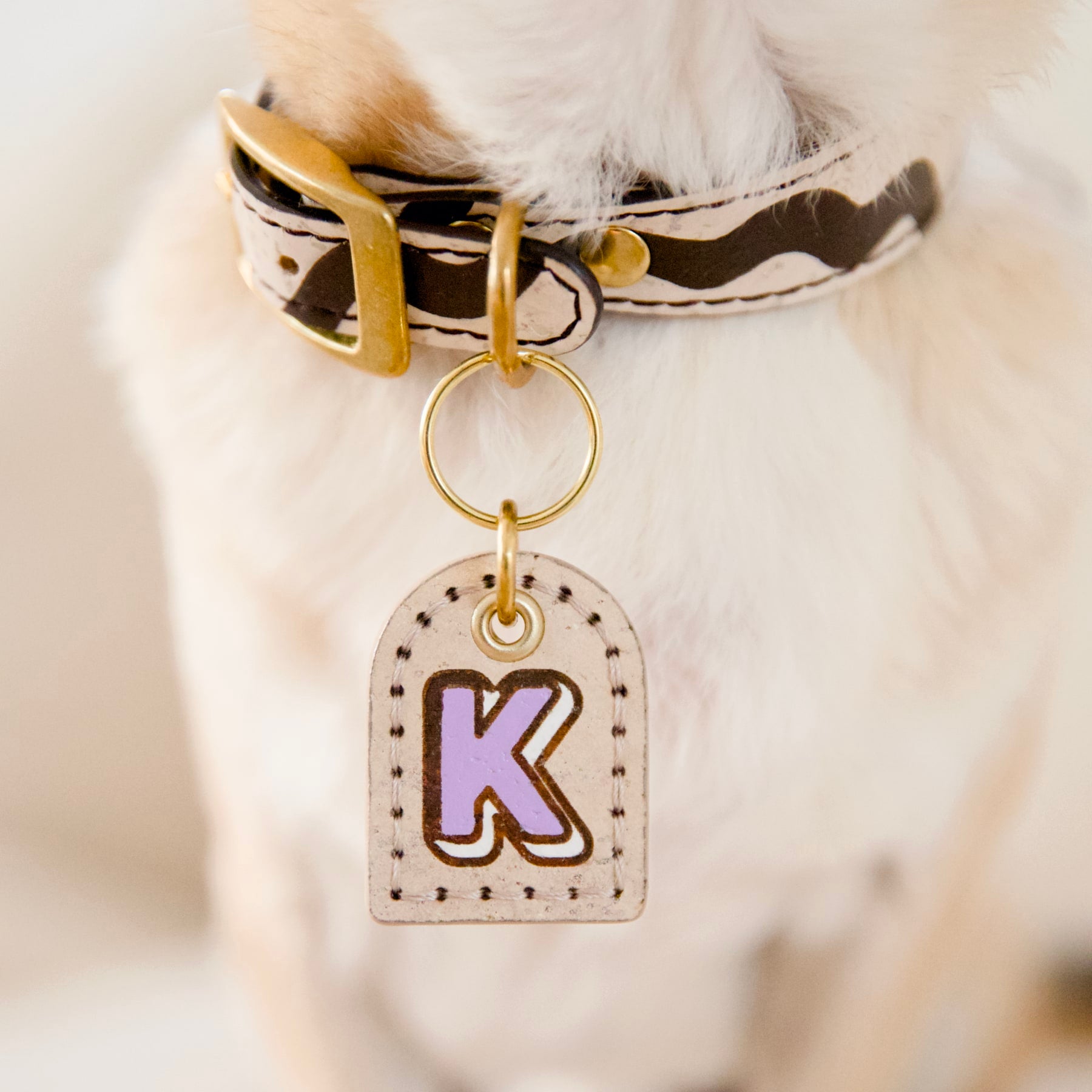 Close-up of small dog wearing cream beige cork leather ID tag with purple monogram, Vegur collar, brass details
