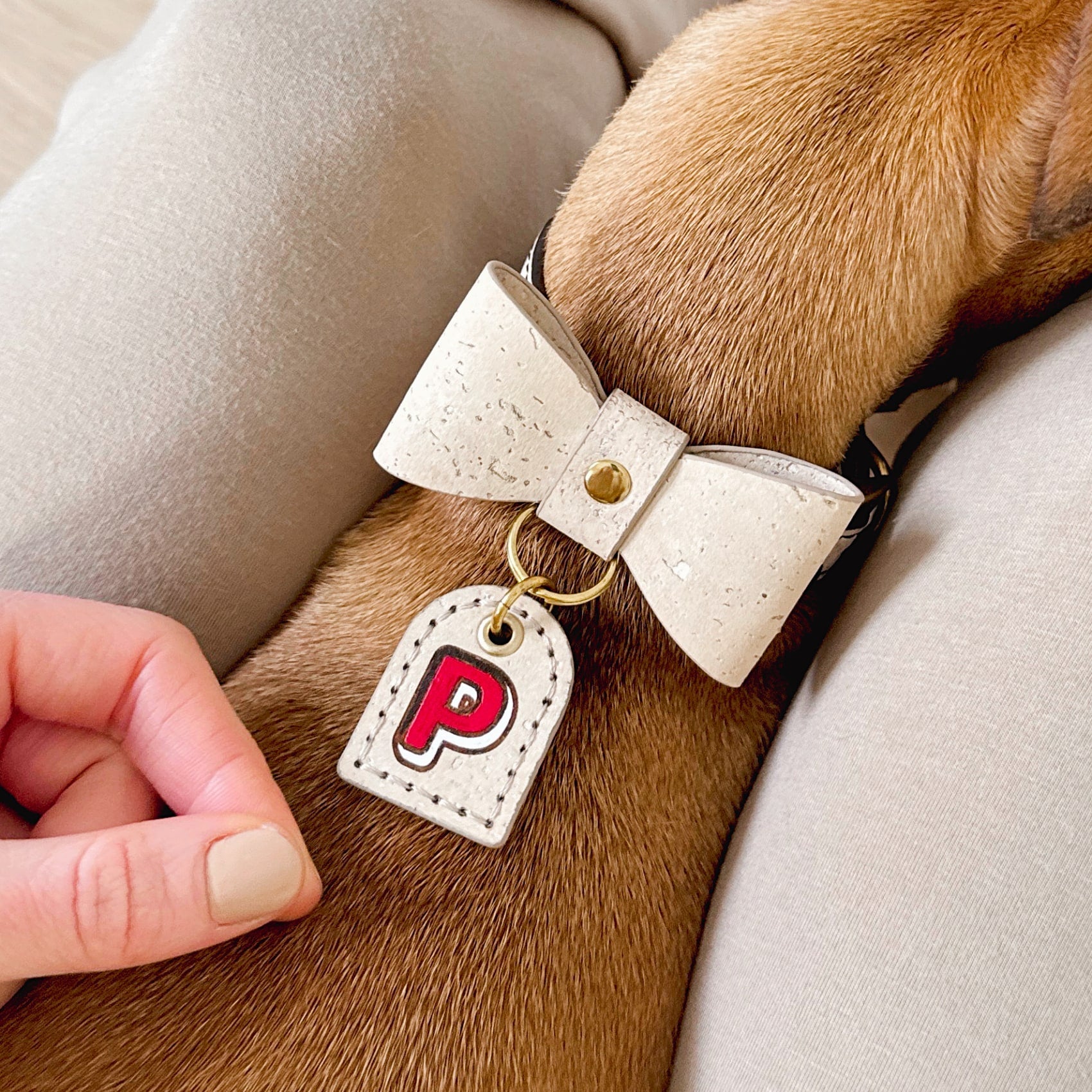 Dog wearing a nude bow tie and custom name tag in vegan cork leather.