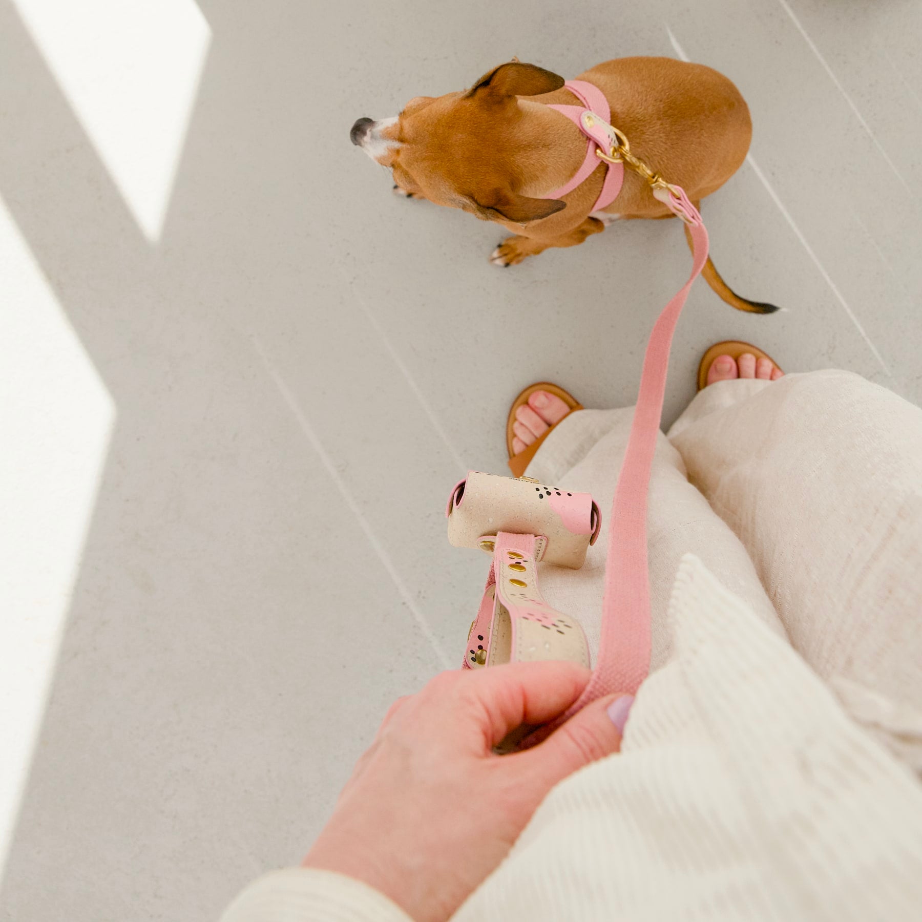 Top view of woman holding pink-painted cork leather leash attached to small dog wearing pink cork and hemp cross harness