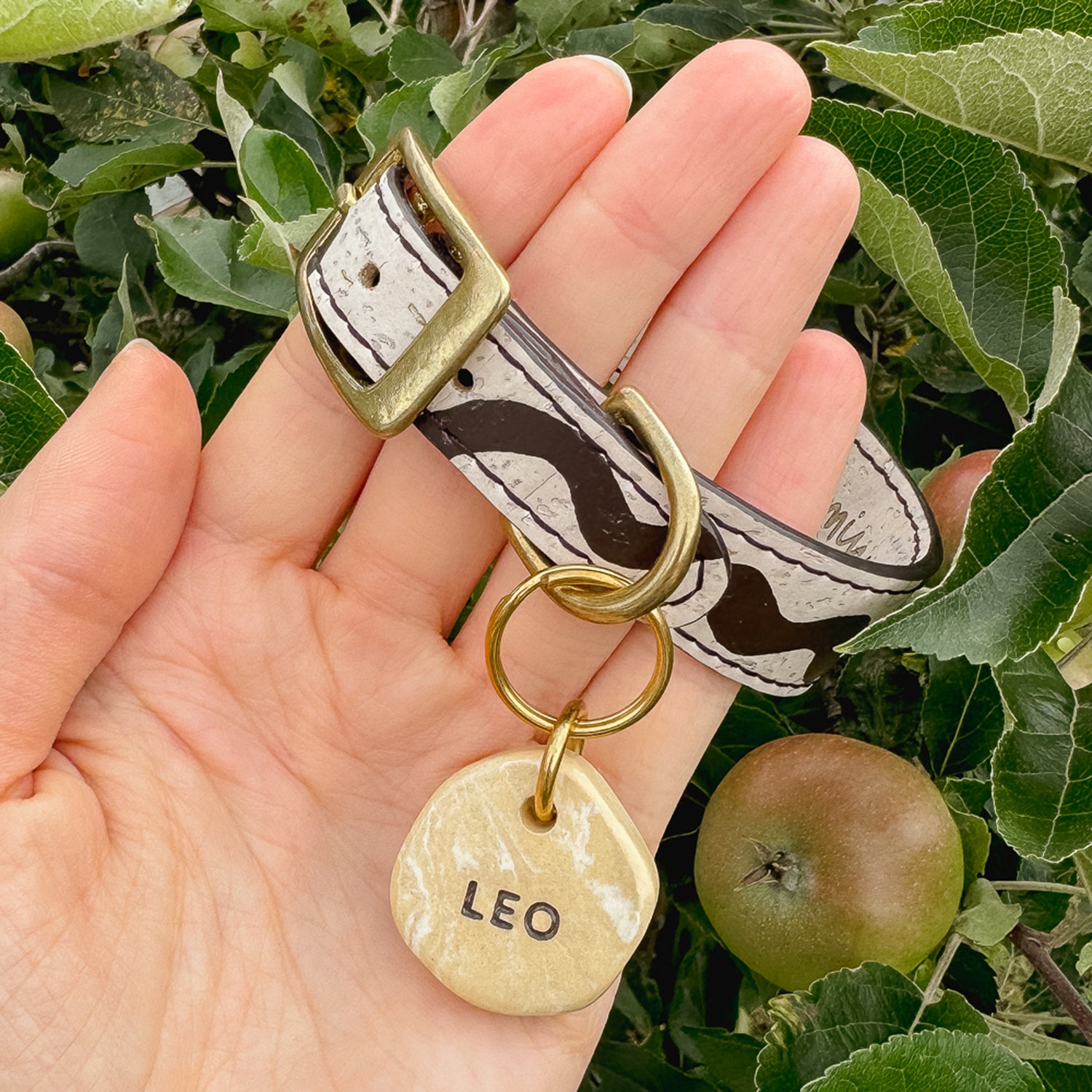 Hand holding cream beige cork leather dog collar with dark brown hand-painted details and travertine marble-look name tag personalised with “Leo”, apple tree in background