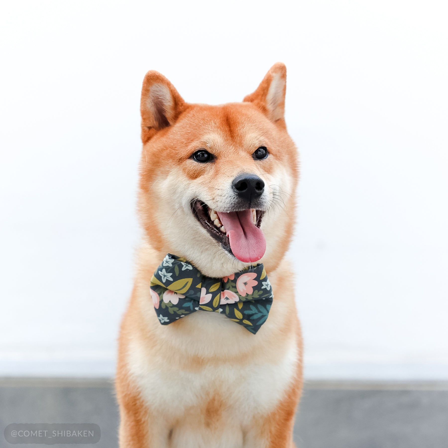 Organic Cotton Bow Tie - Nattblomma