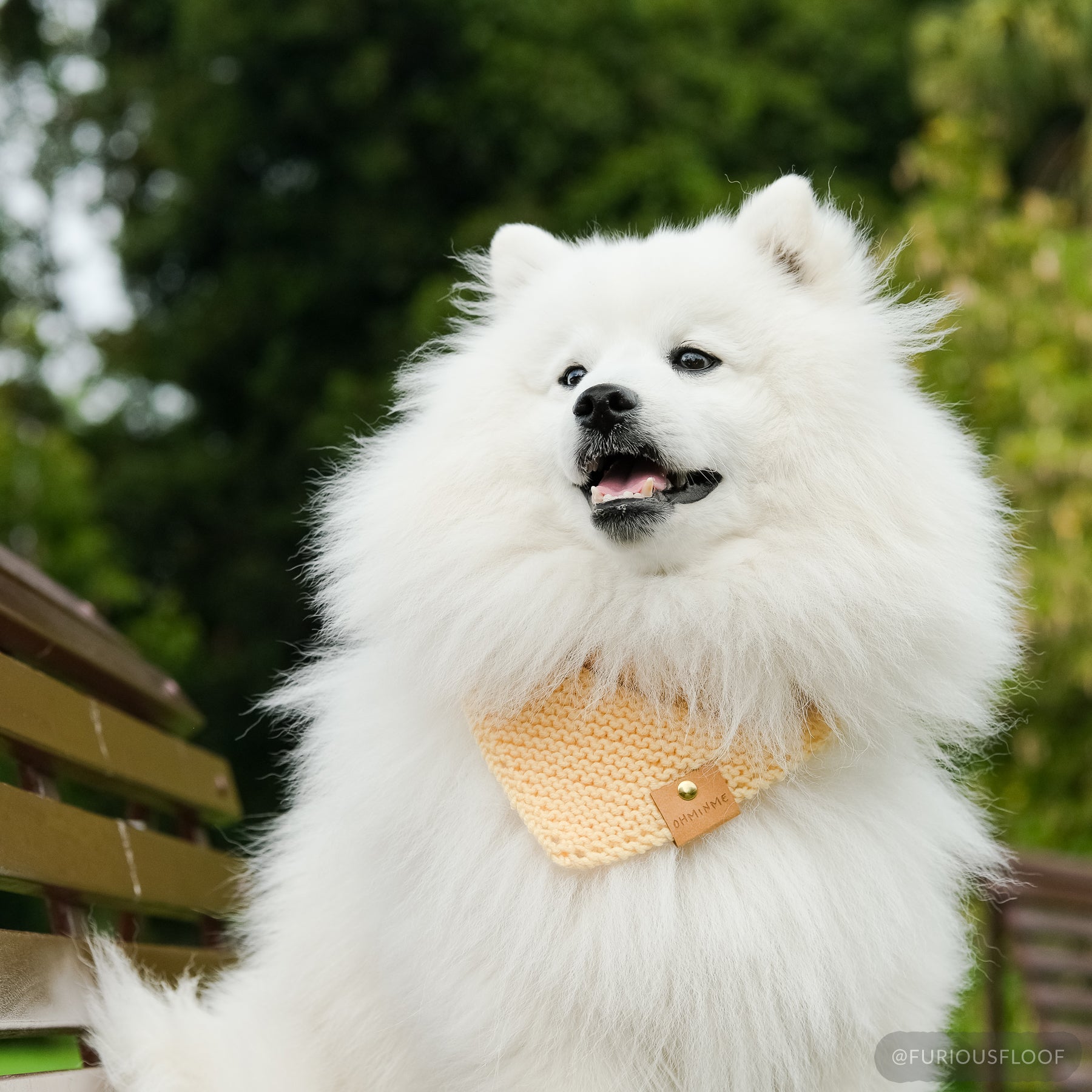 Organic Merino Wool Bandana - Lemon