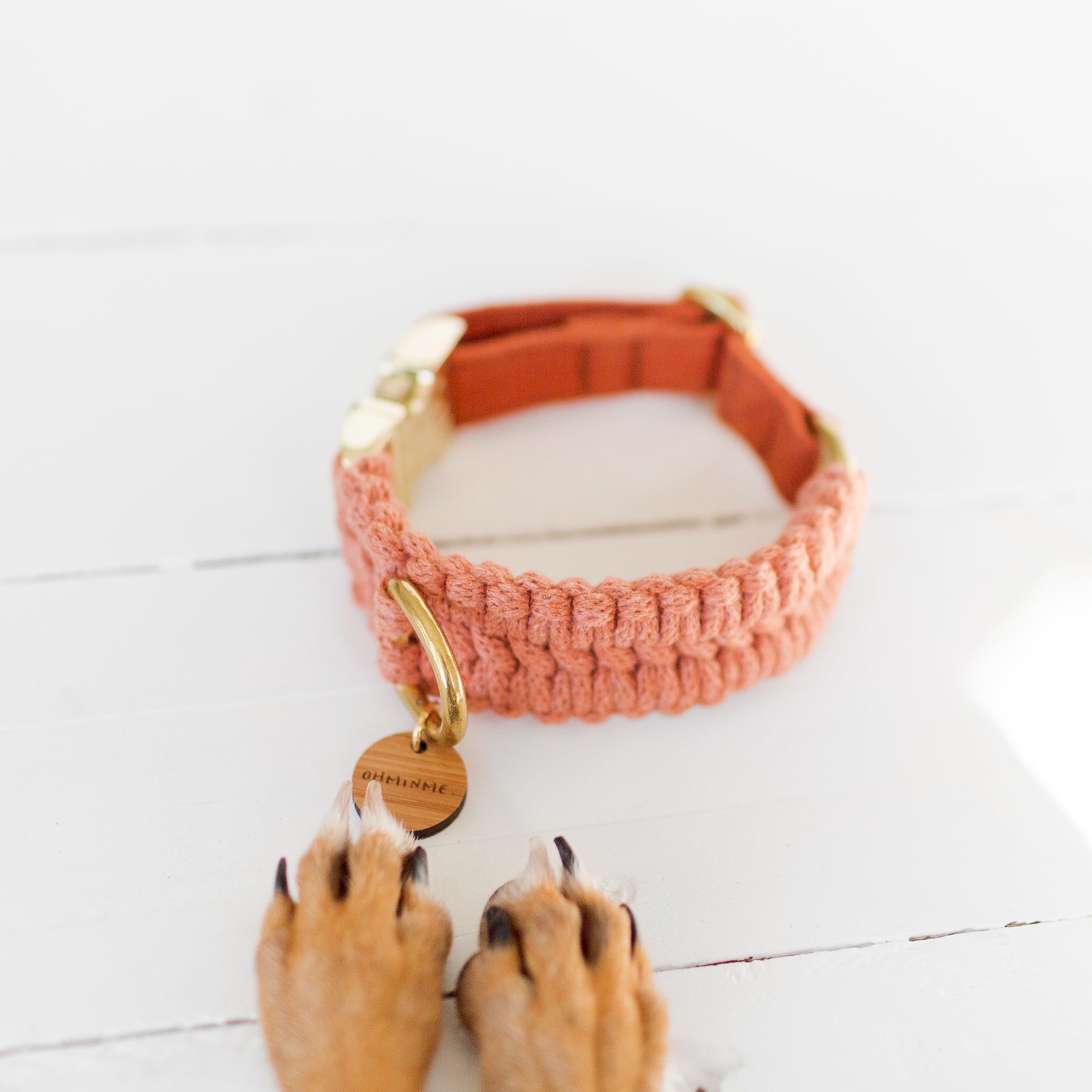 dog paws next to a macrame dog collar in orange terracotta colour