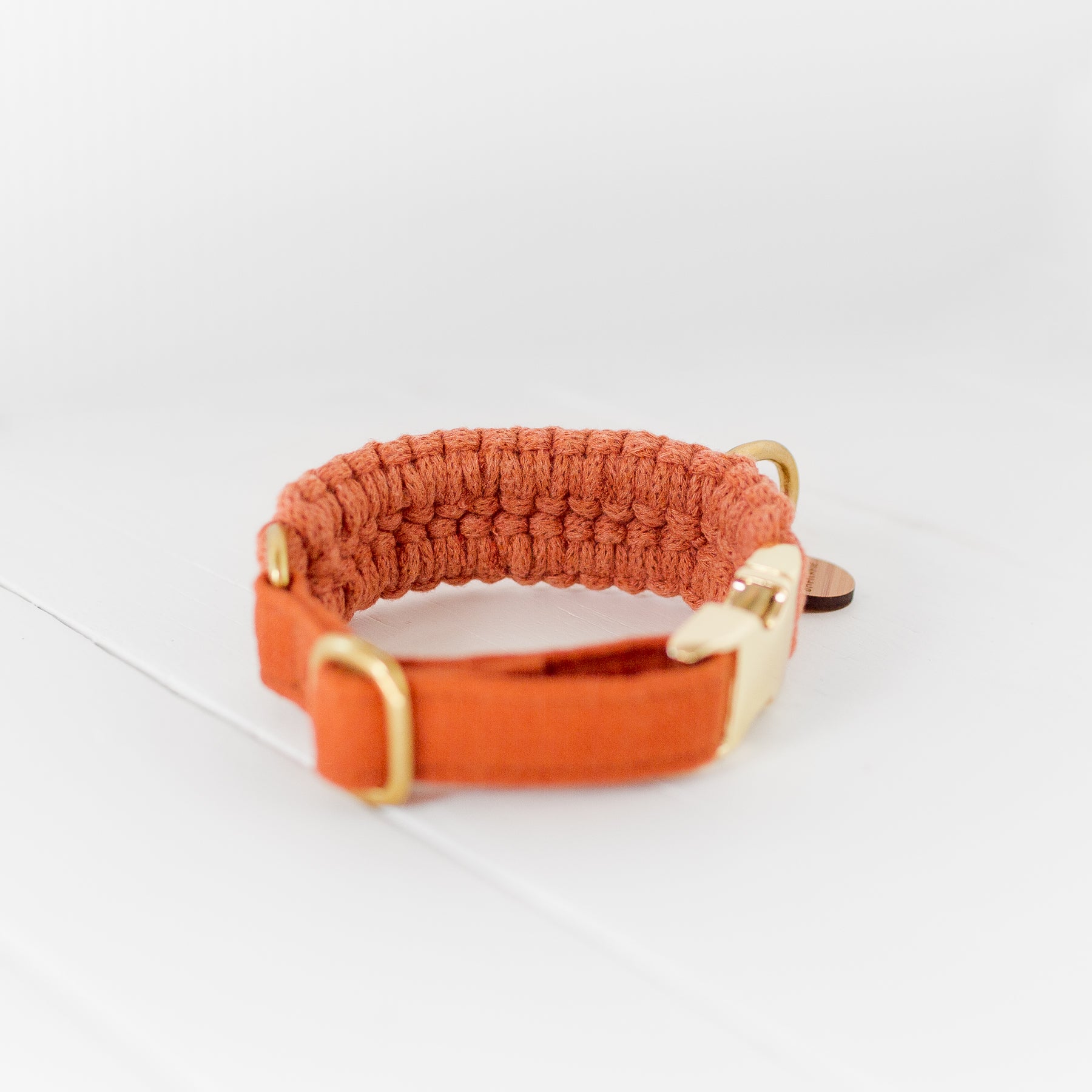 macrame dog collar in orange terracotta with gold hardware, back