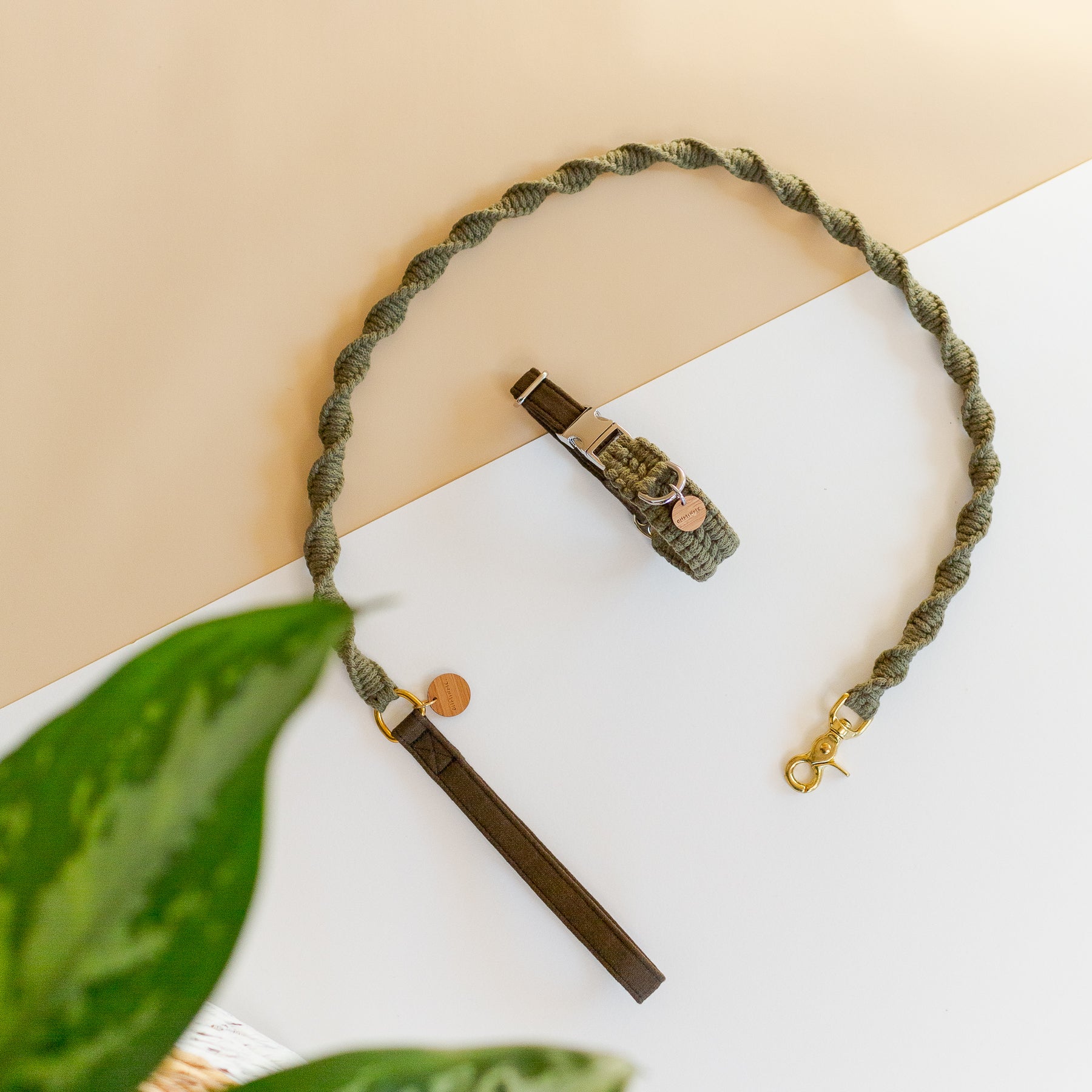 macrame dog collar and matching macrame dog leash in green