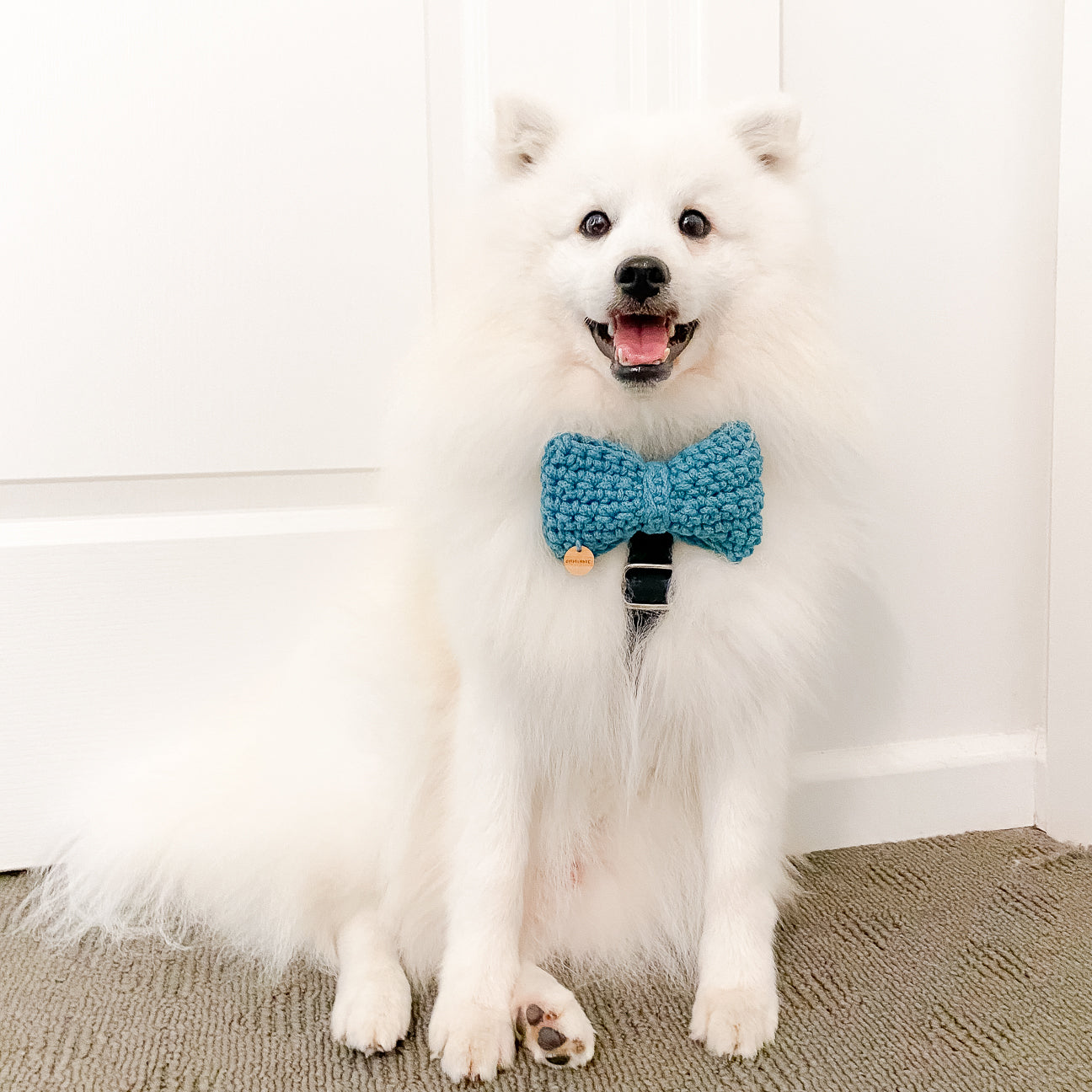Recycled Cotton Bow Tie