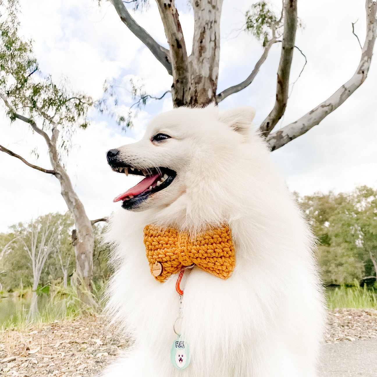 Recycled Cotton Bow Tie