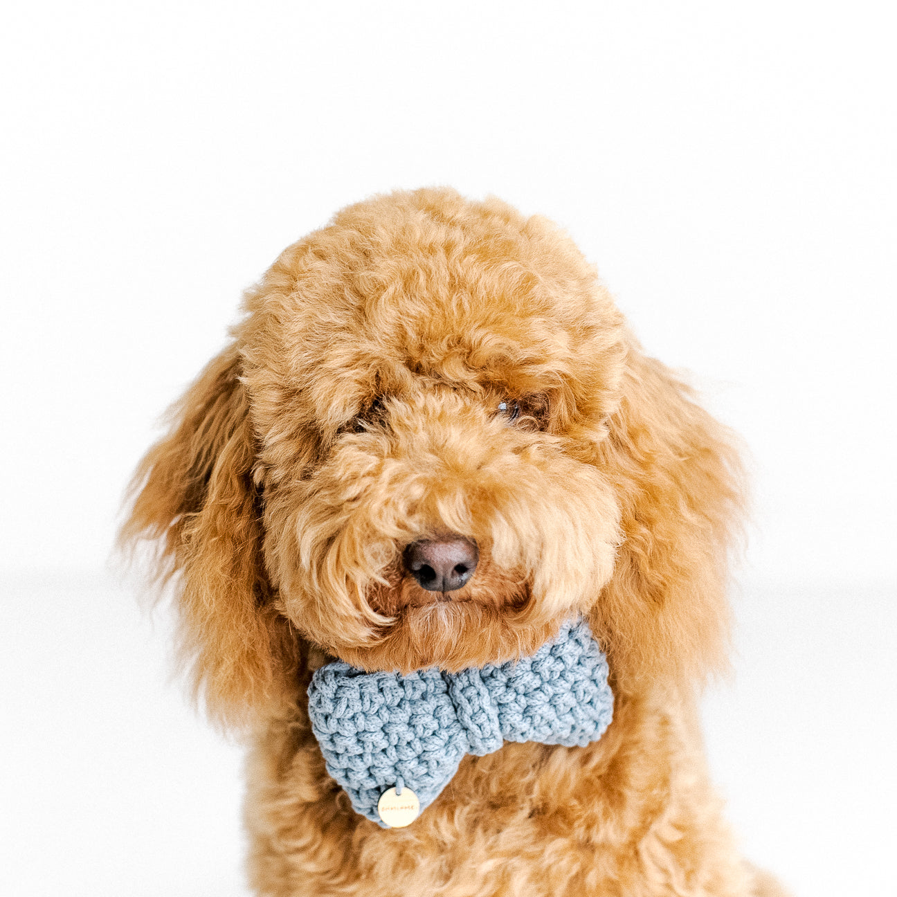 Recycled Cotton Bow Tie