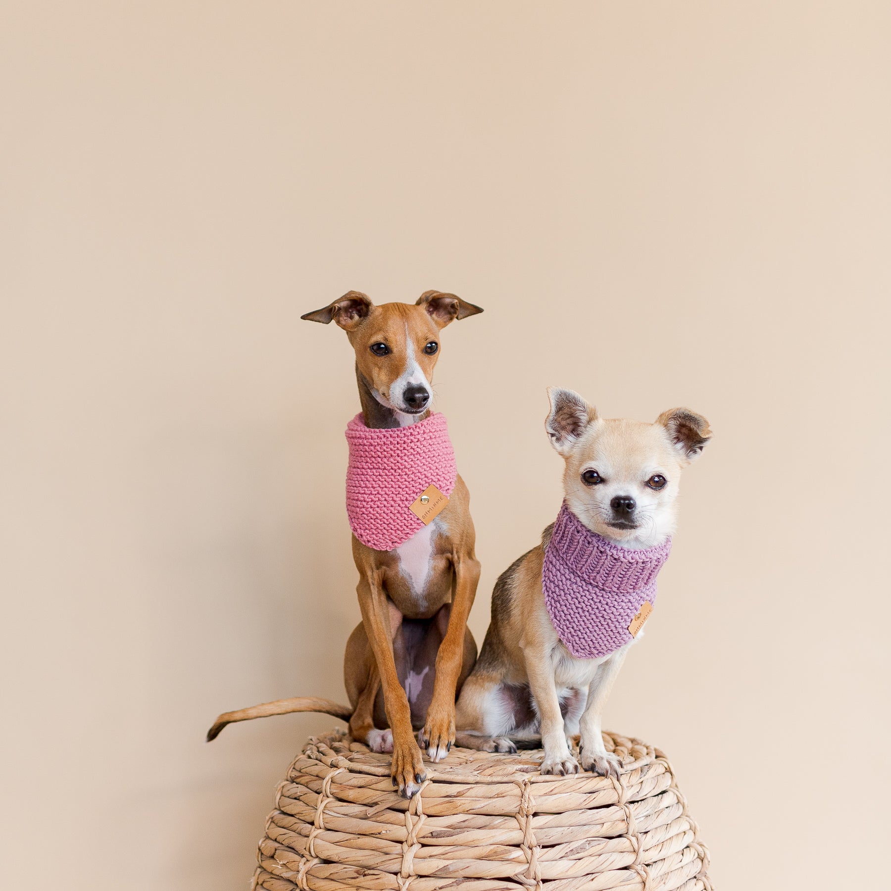 Organic Merino Wool Bandana - Lilac