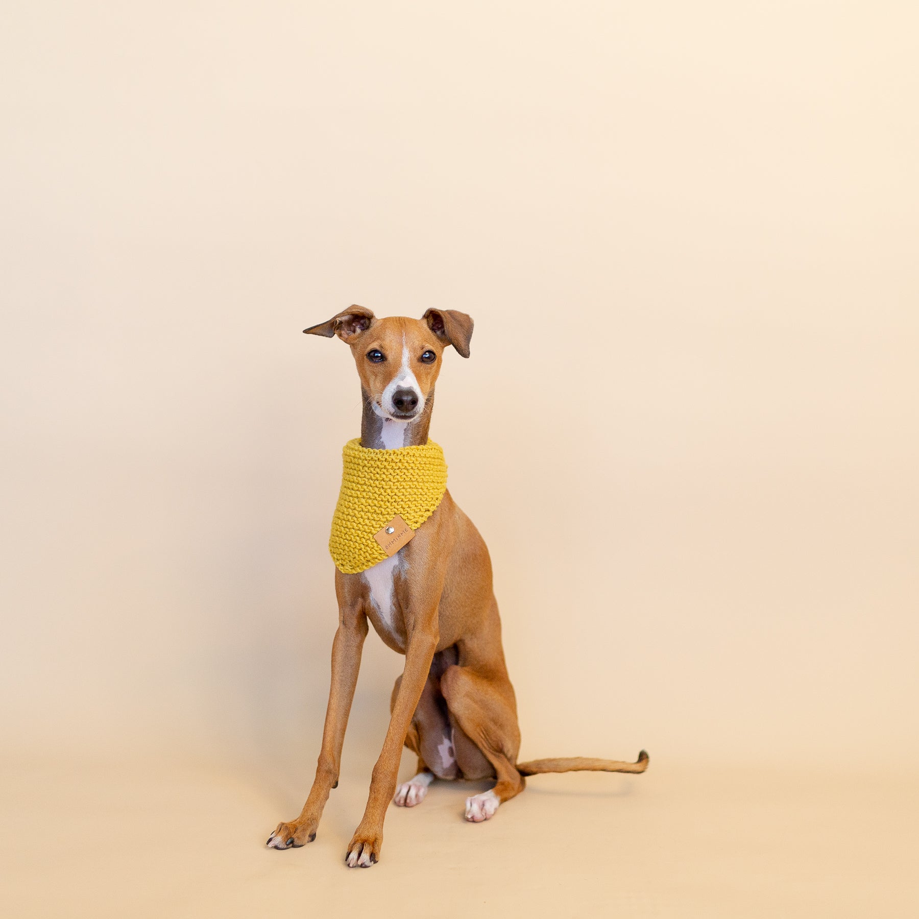 Organic Merino Wool Bandana - Mustard