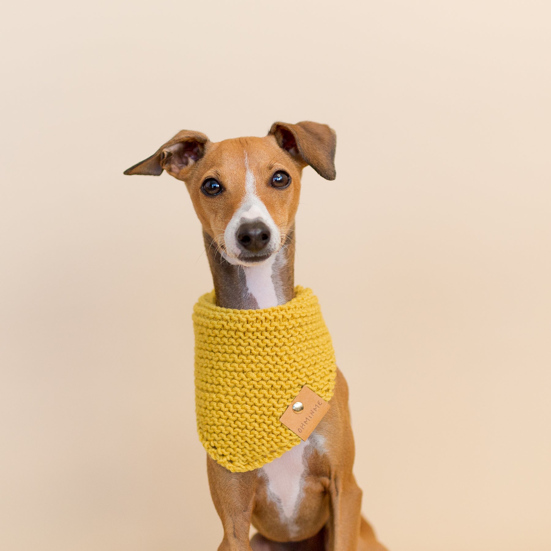 Organic Merino Wool Bandana - Mustard