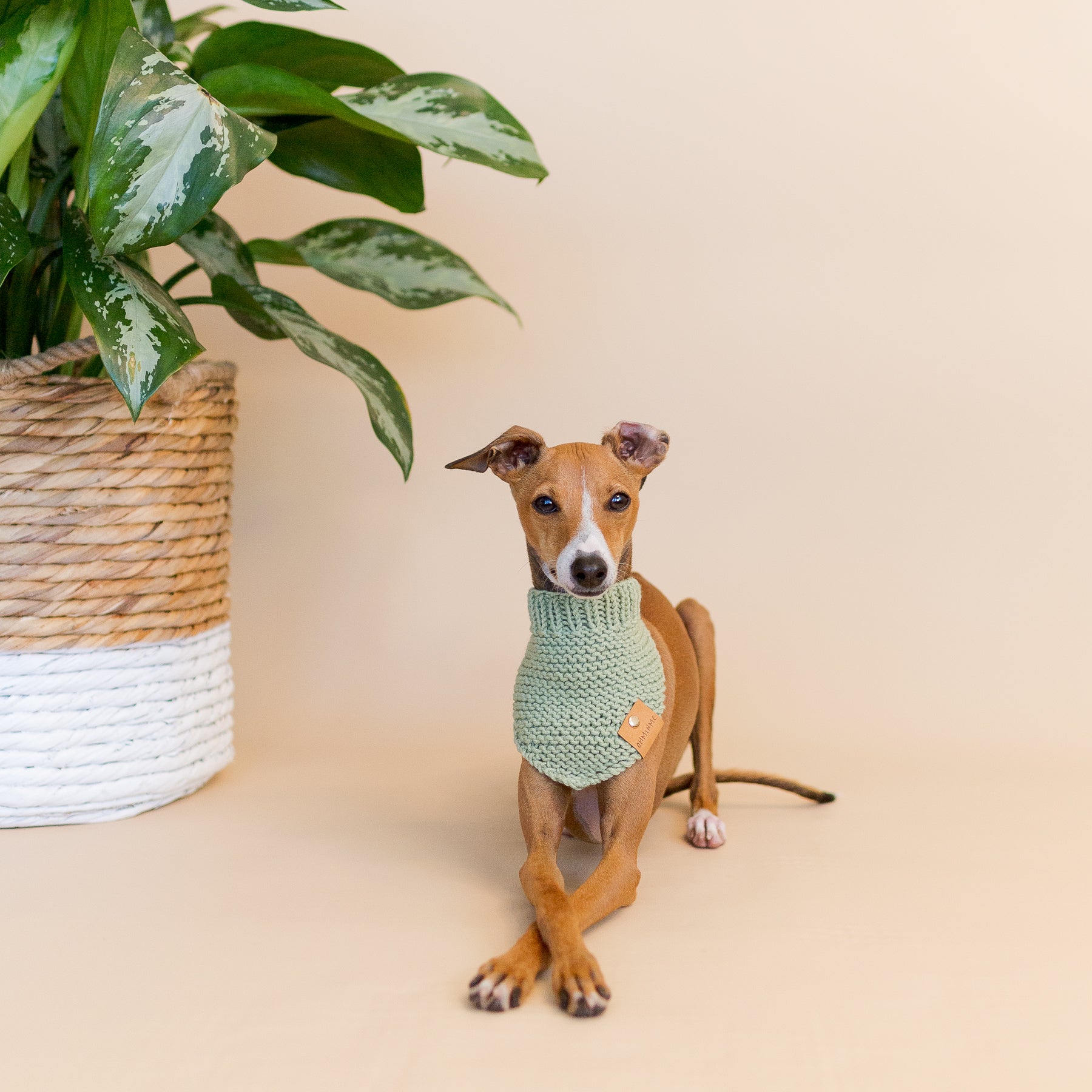 Organic Merino Wool Bandana - Pistage