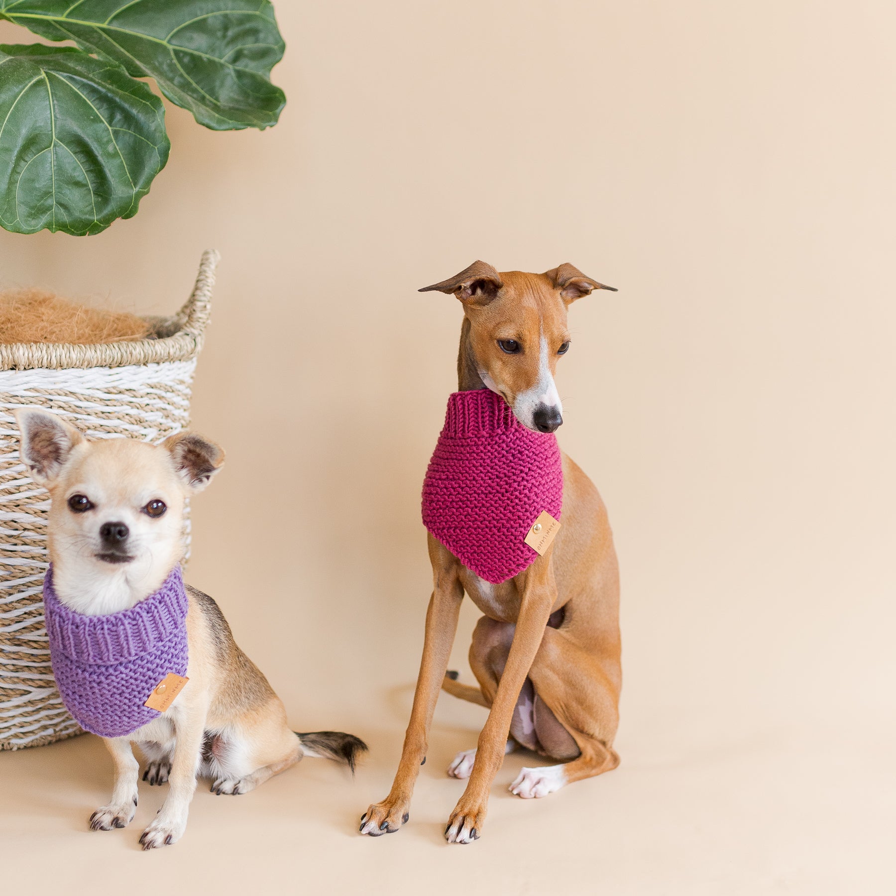 Organic Merino Wool Bandana - Plum