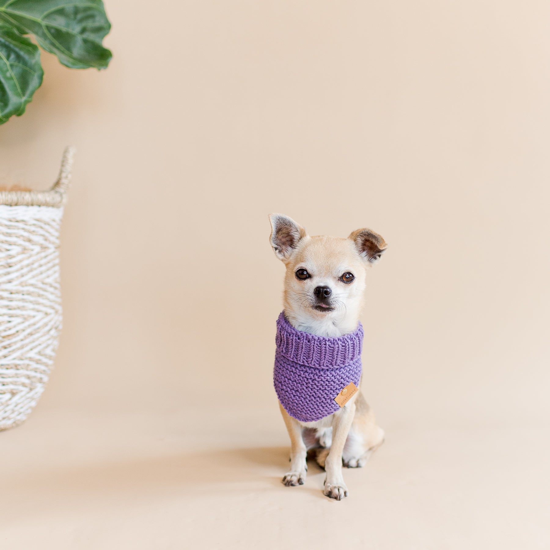 Organic Merino Wool Bandana - Violet