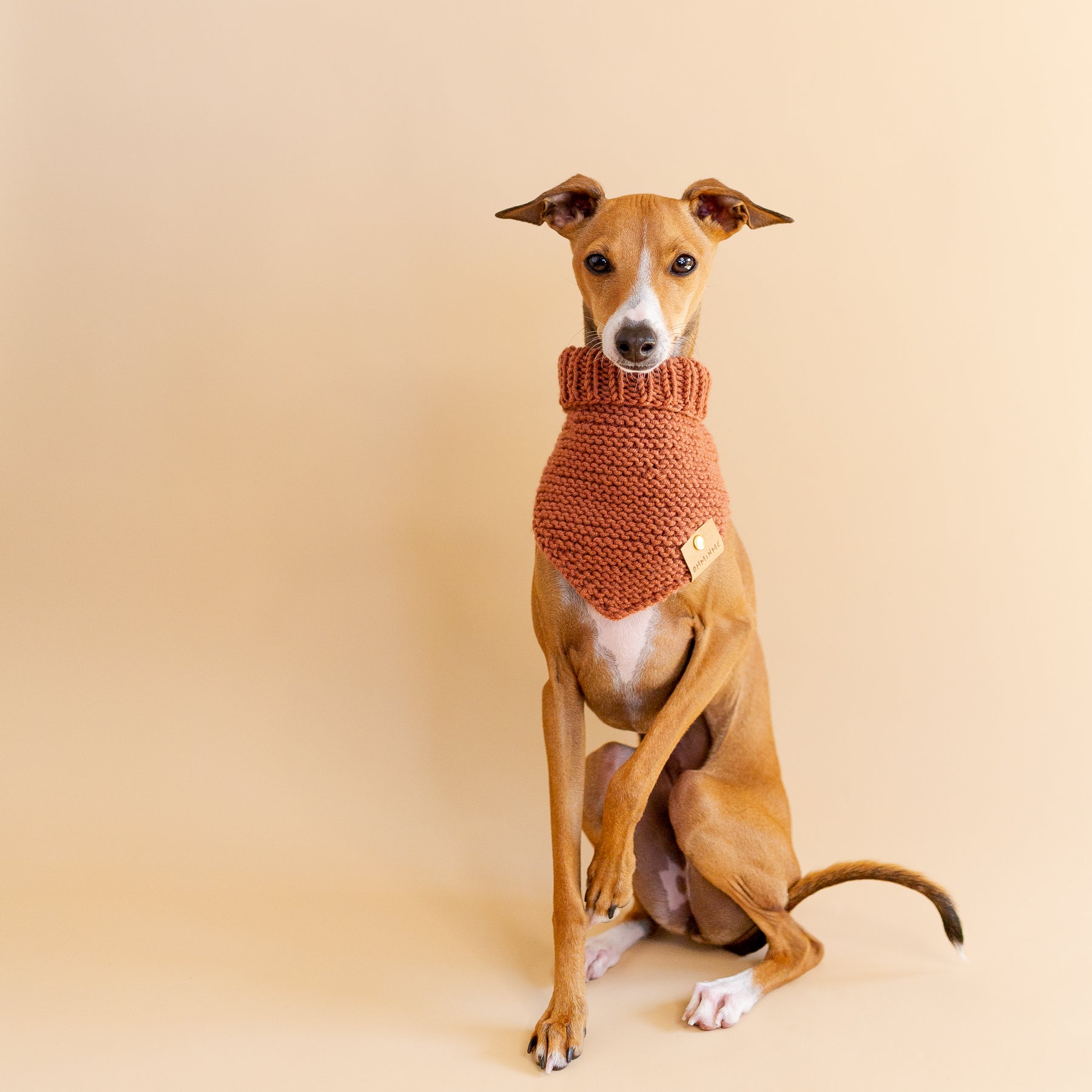 Organic Merino Wool Bandana - Rust