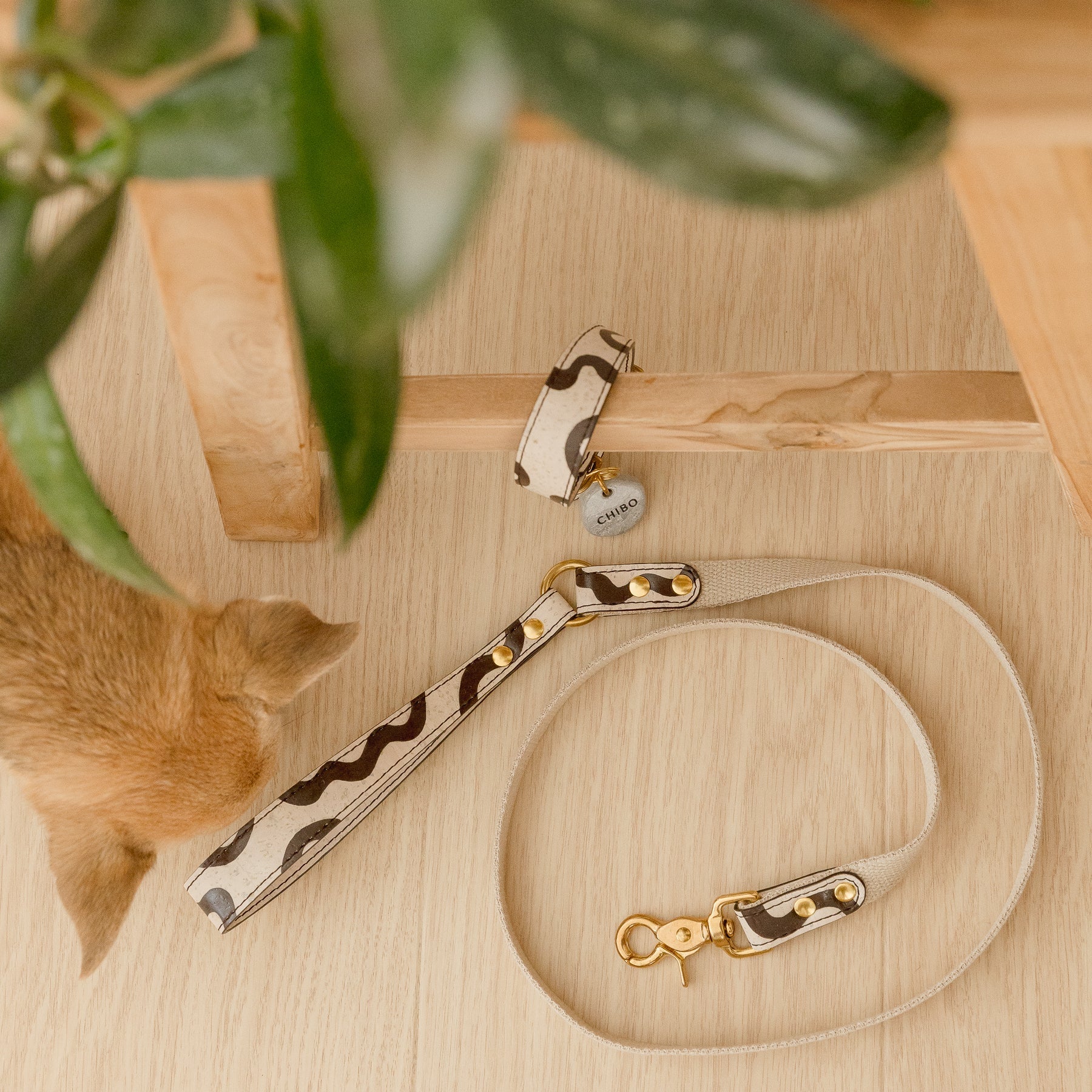 vegan cork leather dog collar and matching organic hemp dog lead handmade in australia