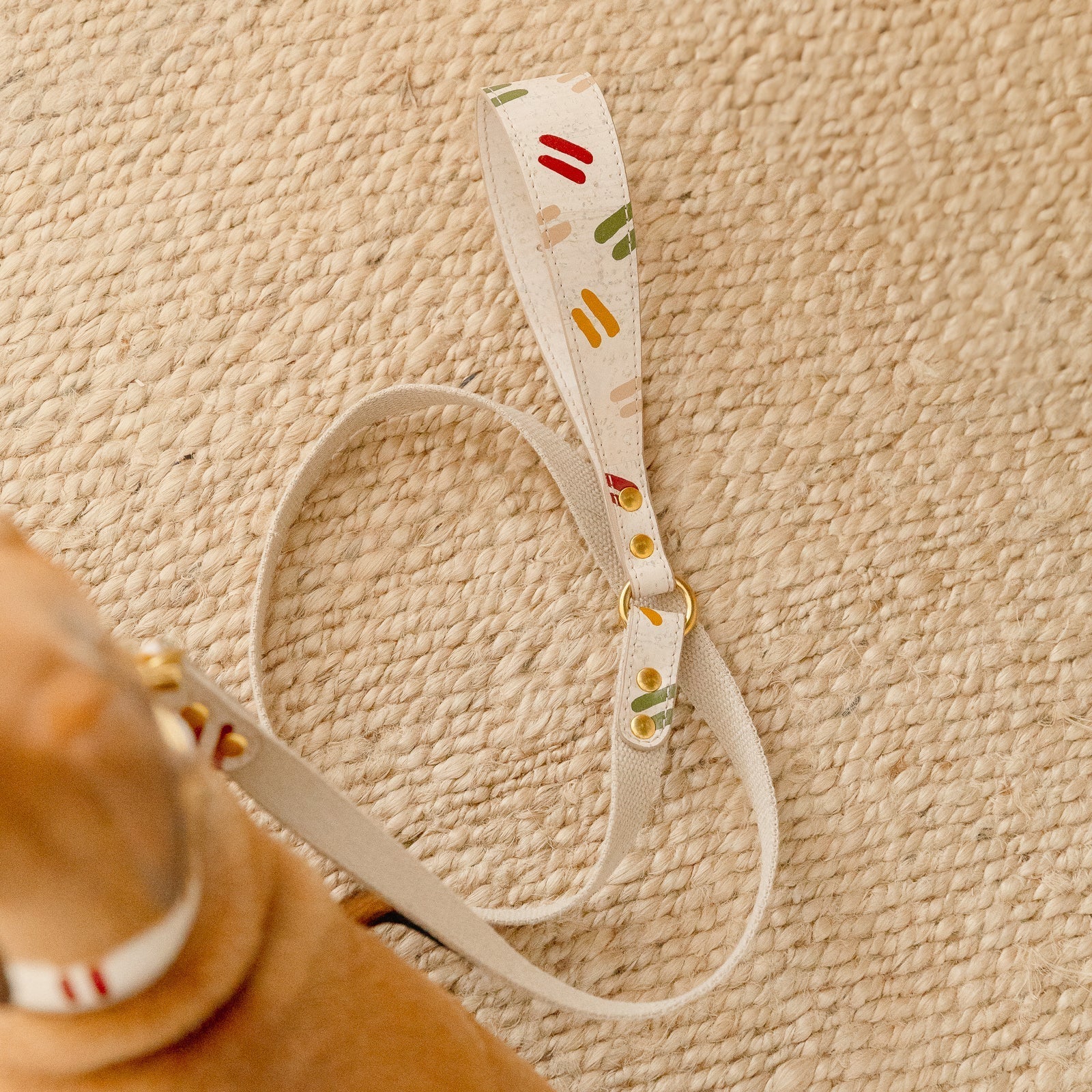 vegan cork leather dog lead with organic hemp webbing and brass hardware, attached to italian greyhound sitting on a jute rug, top view