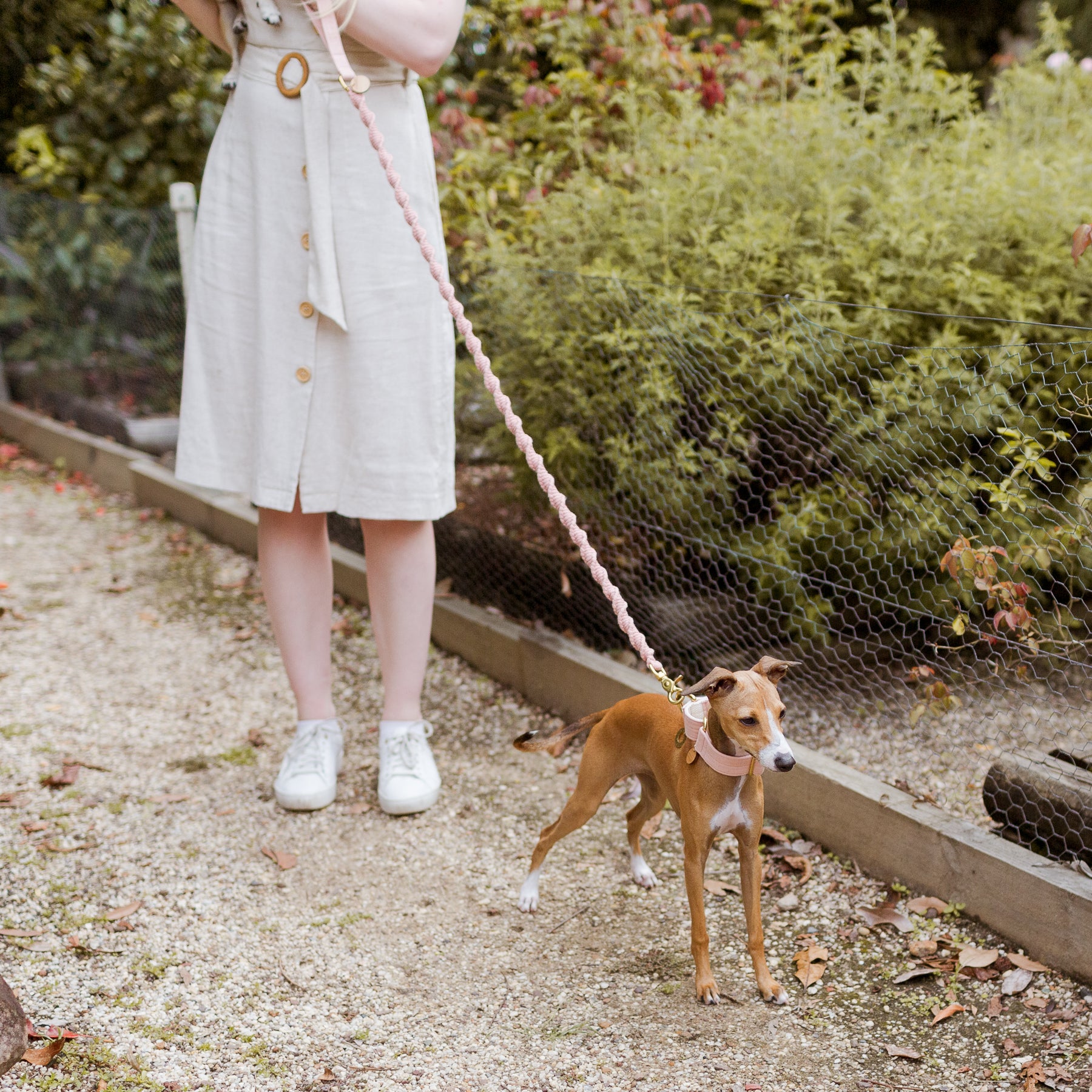 Person holding a pink macrame dog leash attached to a small dog