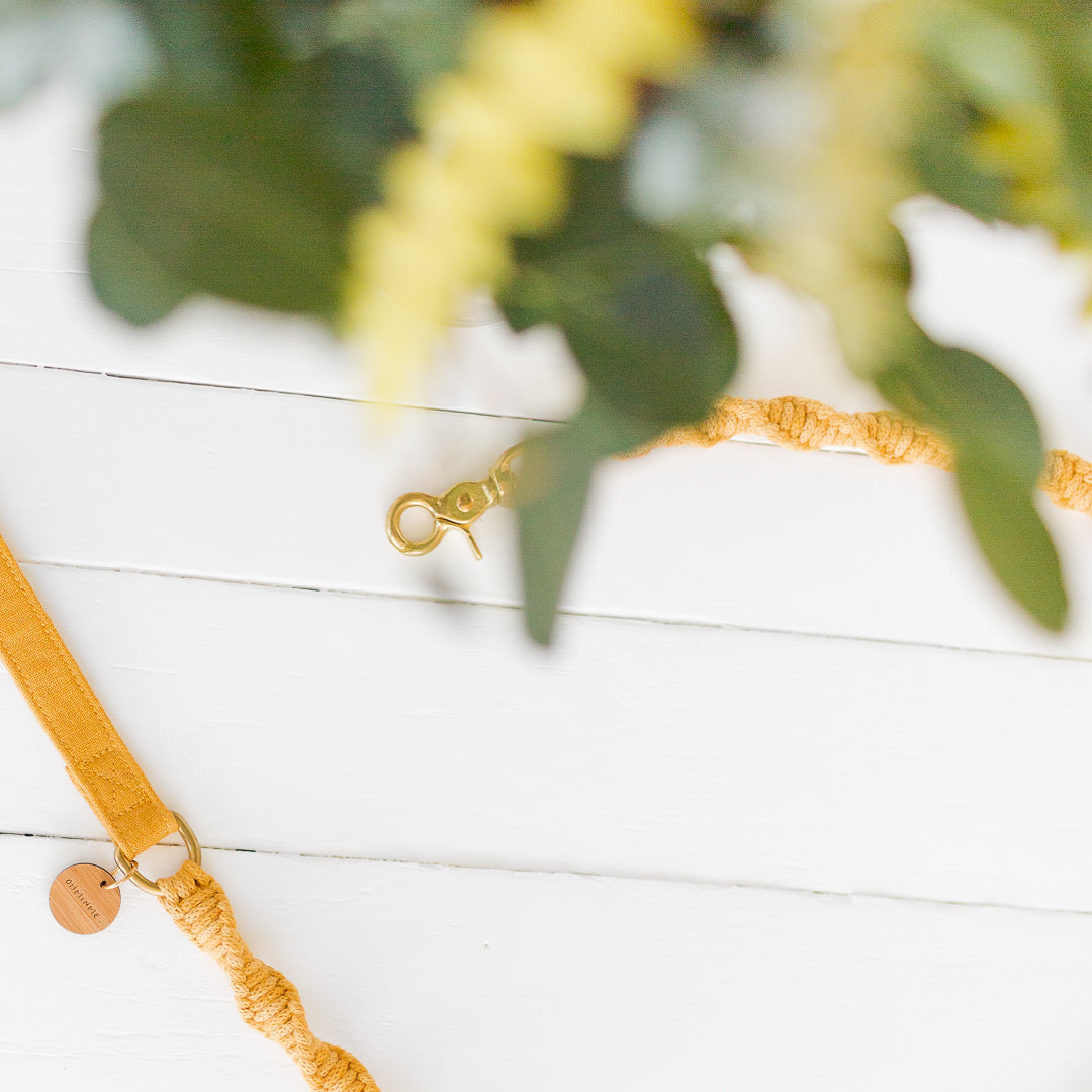 Yellow macrame dog leash with brass details on a white wooden surface with greenery in the background