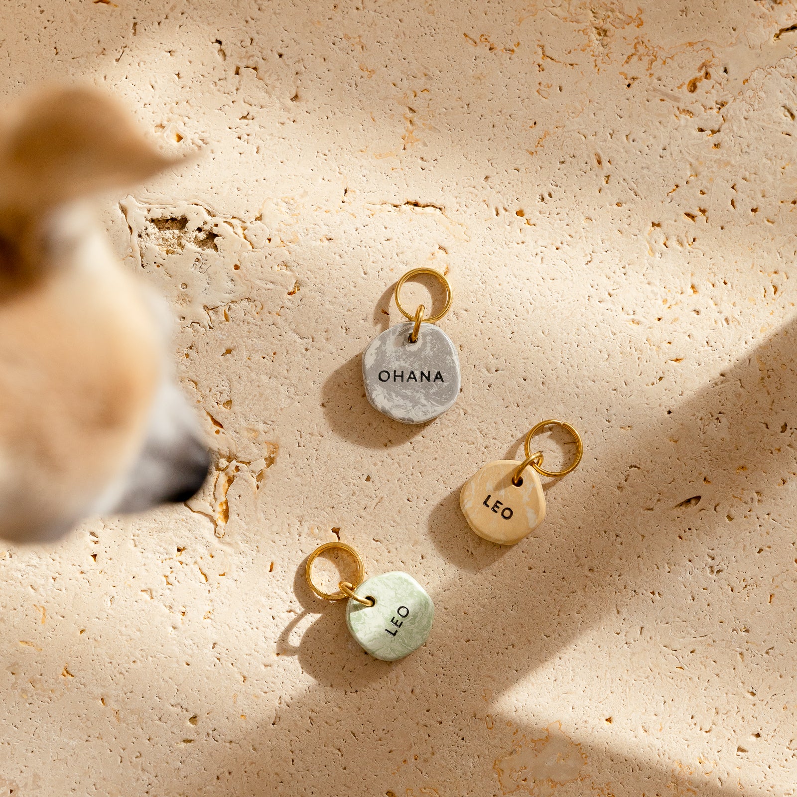 three personalized dog tags made of natural earth clay with brass split rings, on travertine tile with small dog overlooking