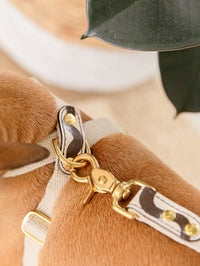 Harnesses