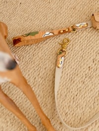 Leads