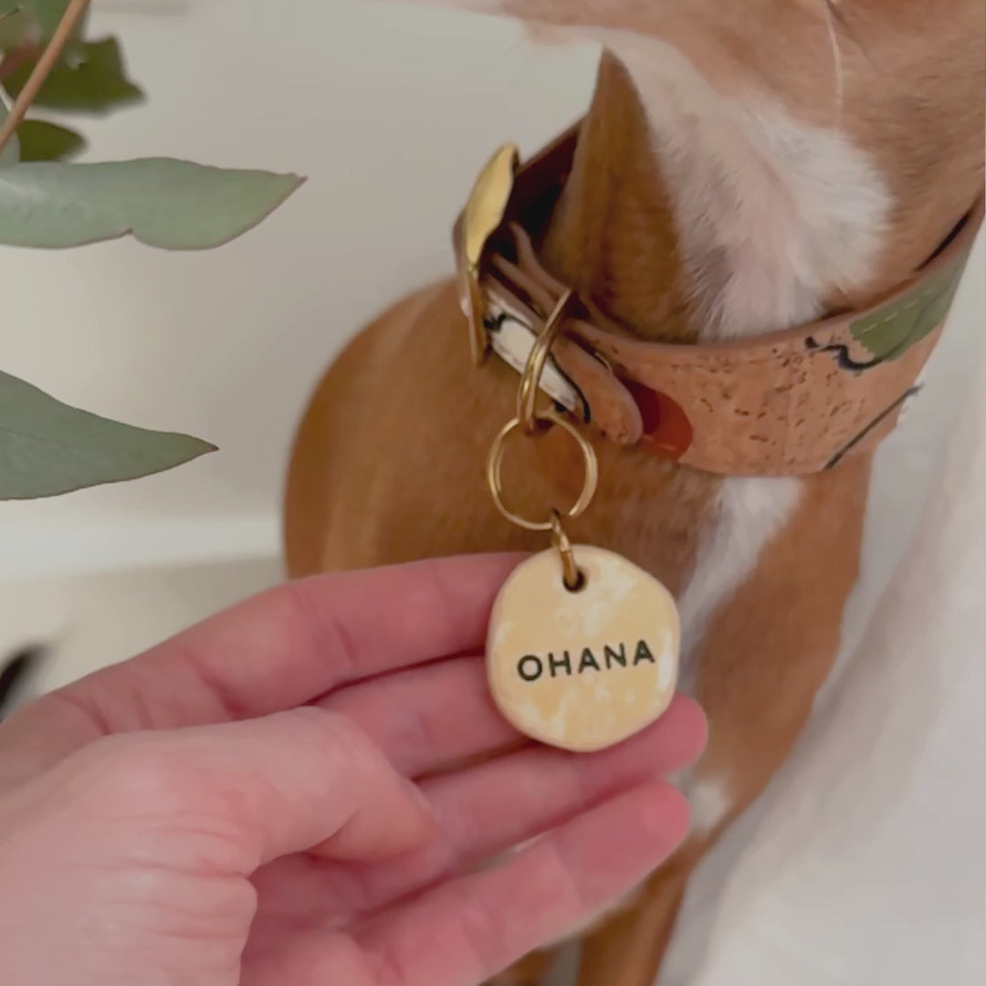 hand holding a dog ID tag in travertine look, engraved with 'Ohana,' attached to a vegan dog collar on an Italian greyhound, size large