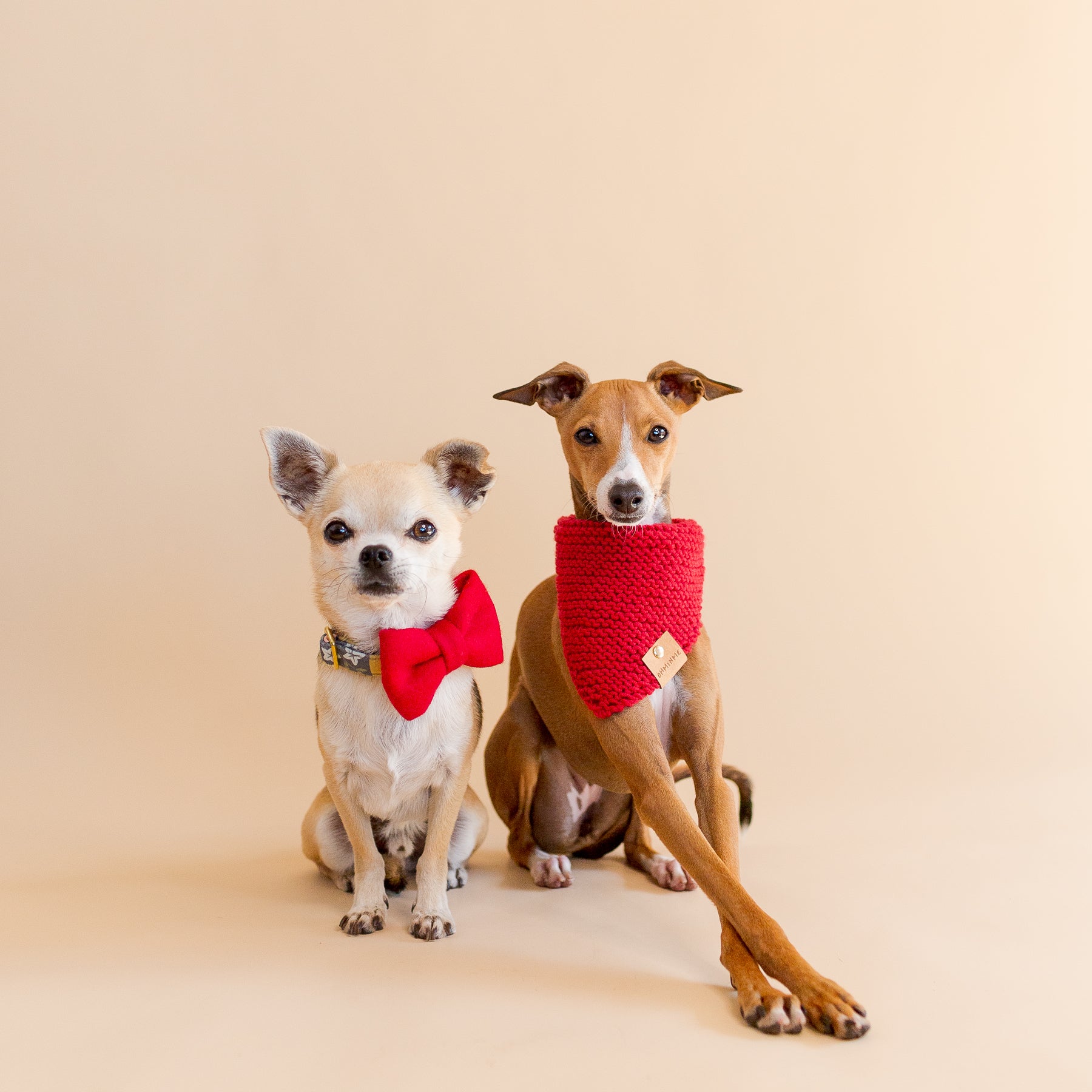 Organic Merino Wool Bandana - Royal Red